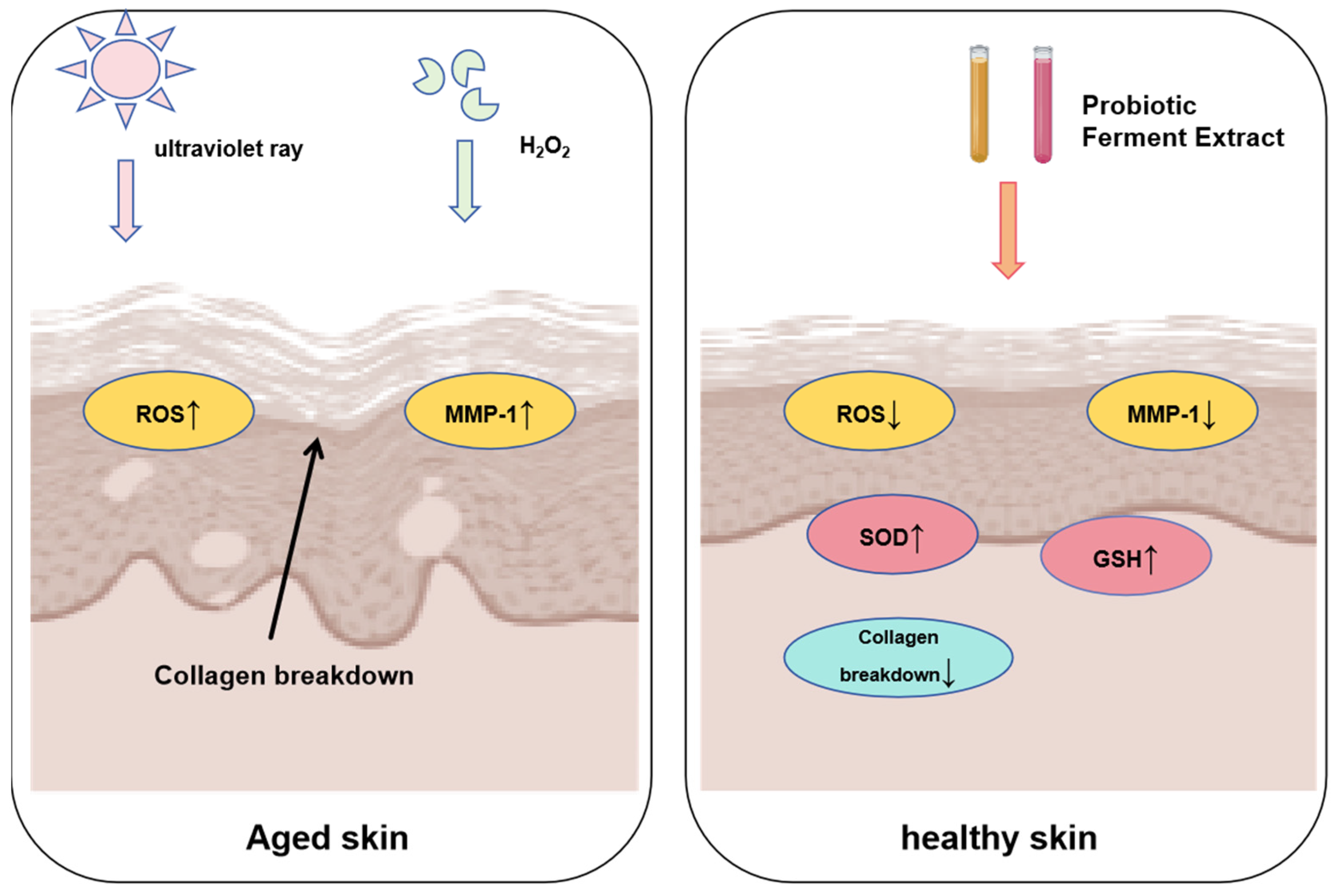 Molecules 28 06765 g006