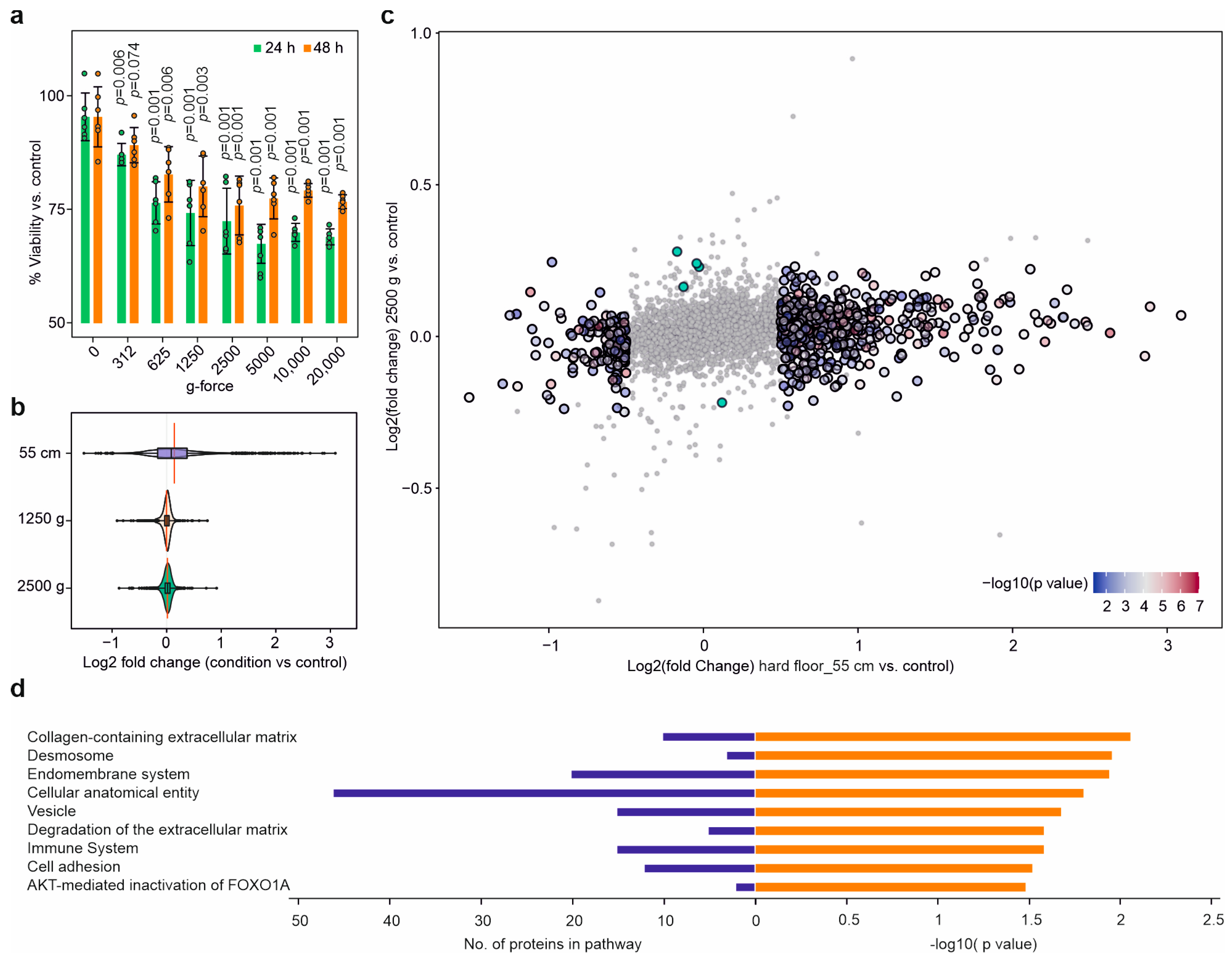 Molecules 28 06768 g005