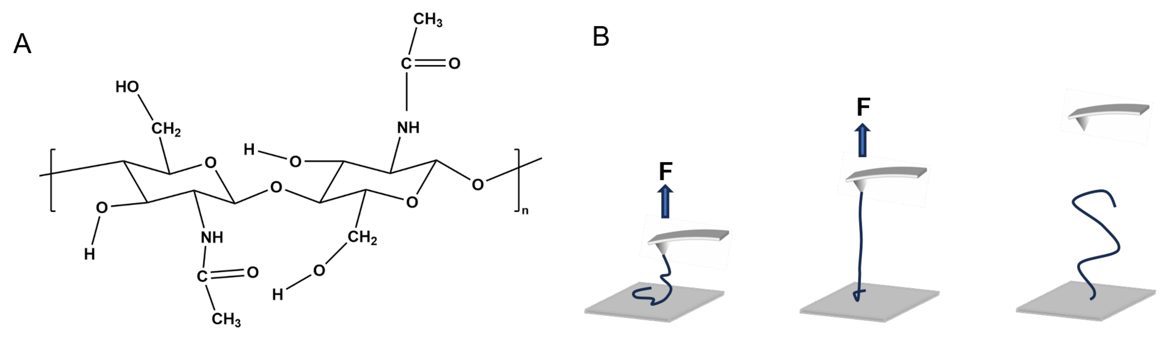 Molecules 28 06769 g001