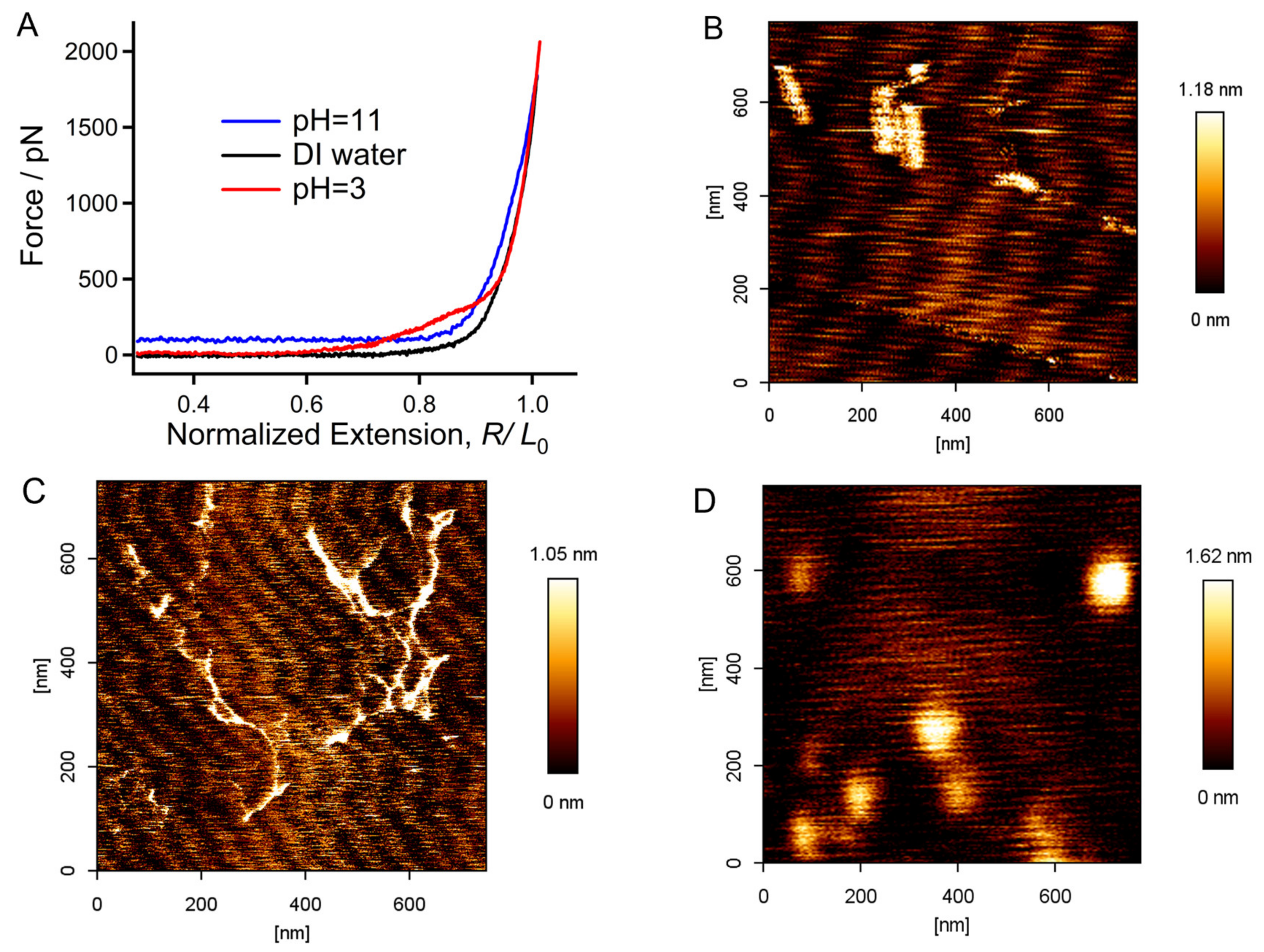 Molecules 28 06769 g005
