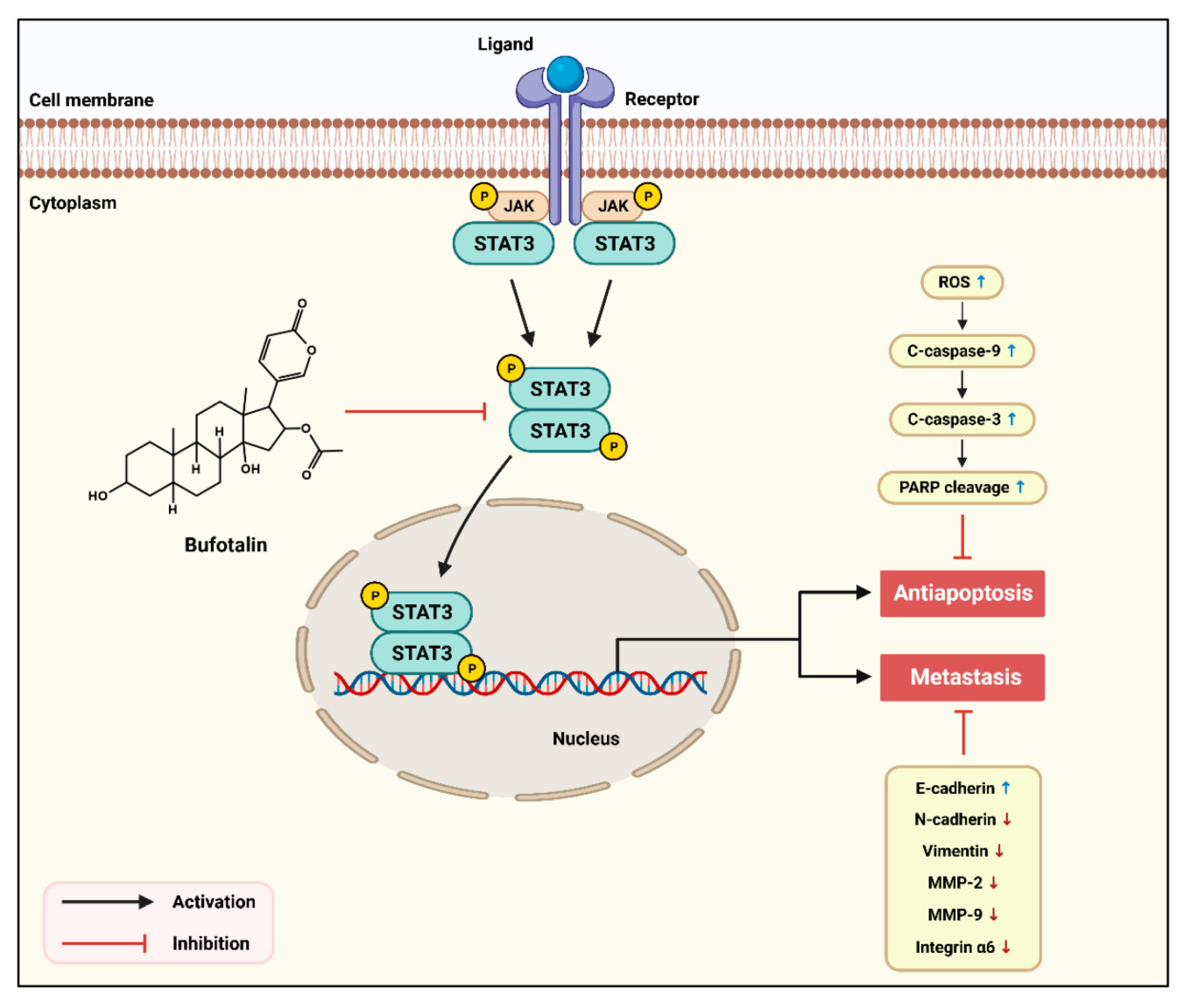 Molecules 28 06783 g006