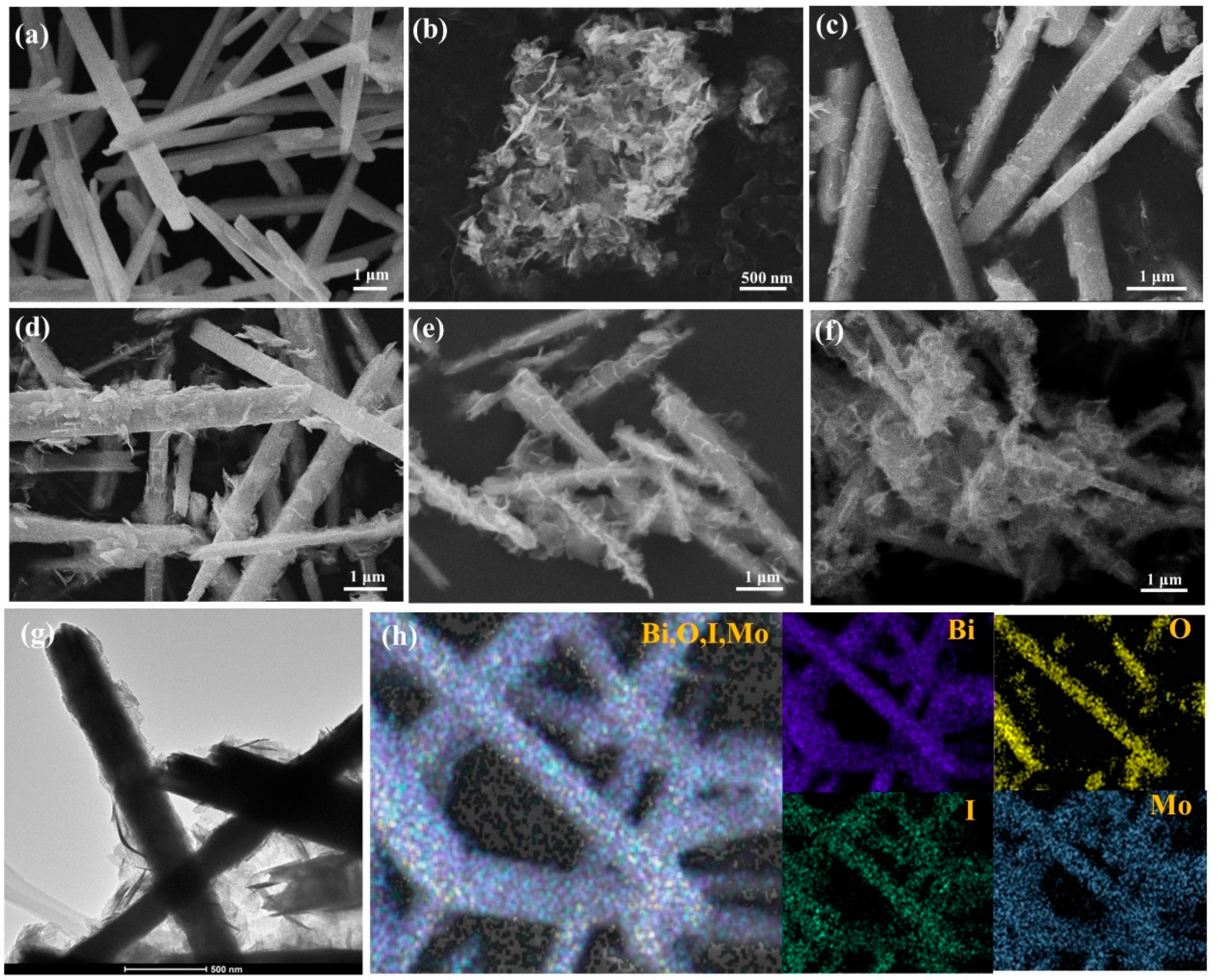 Molecules 28 06786 g003