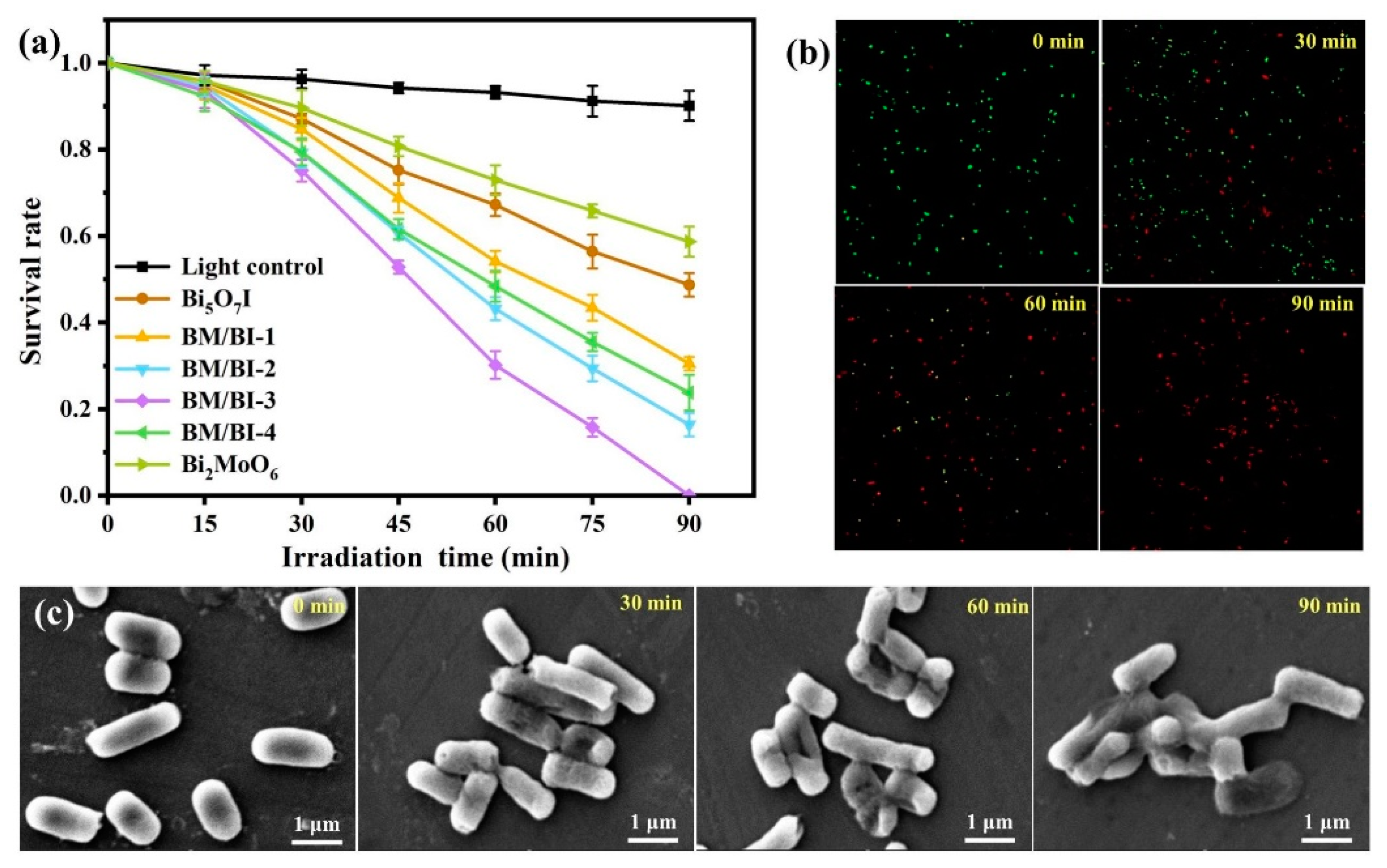 Molecules 28 06786 g006