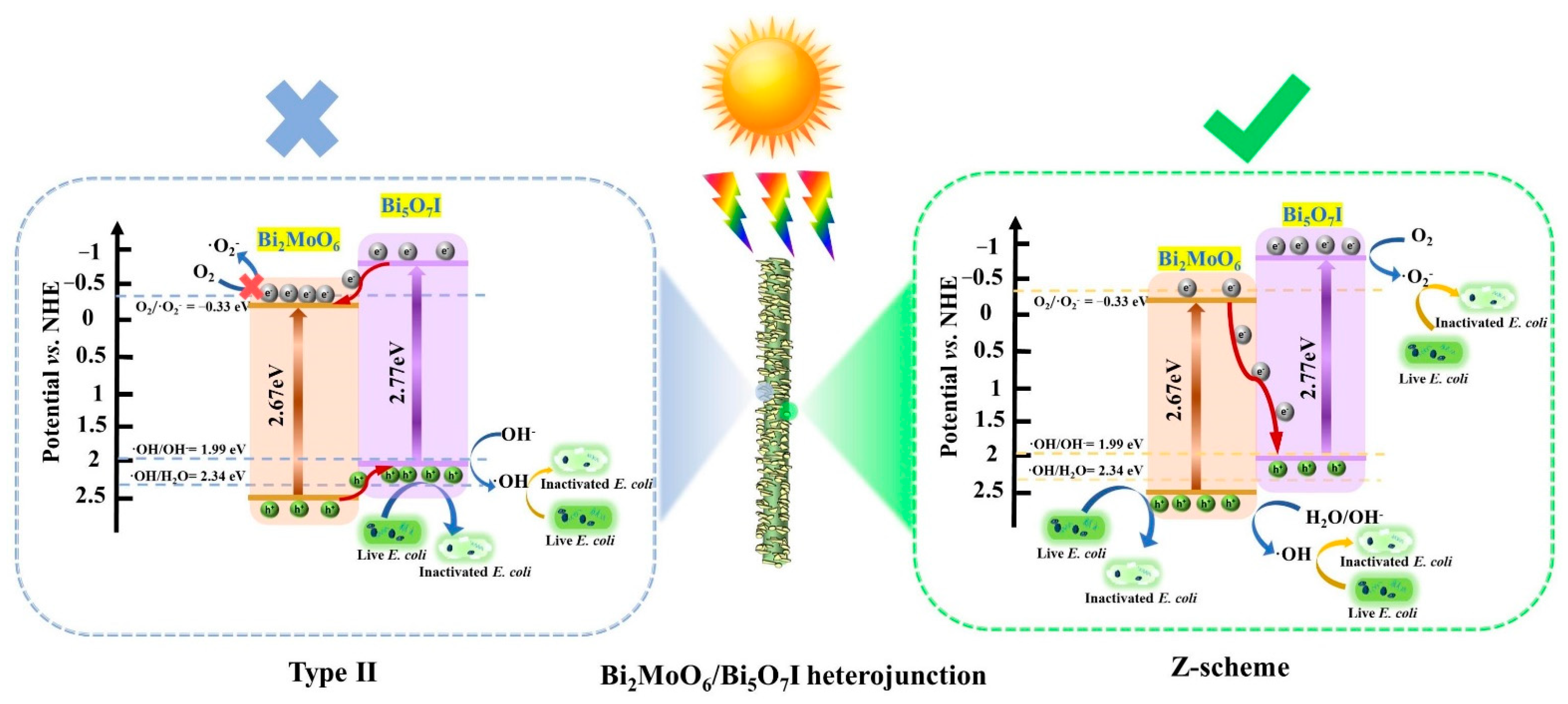 Molecules 28 06786 g008