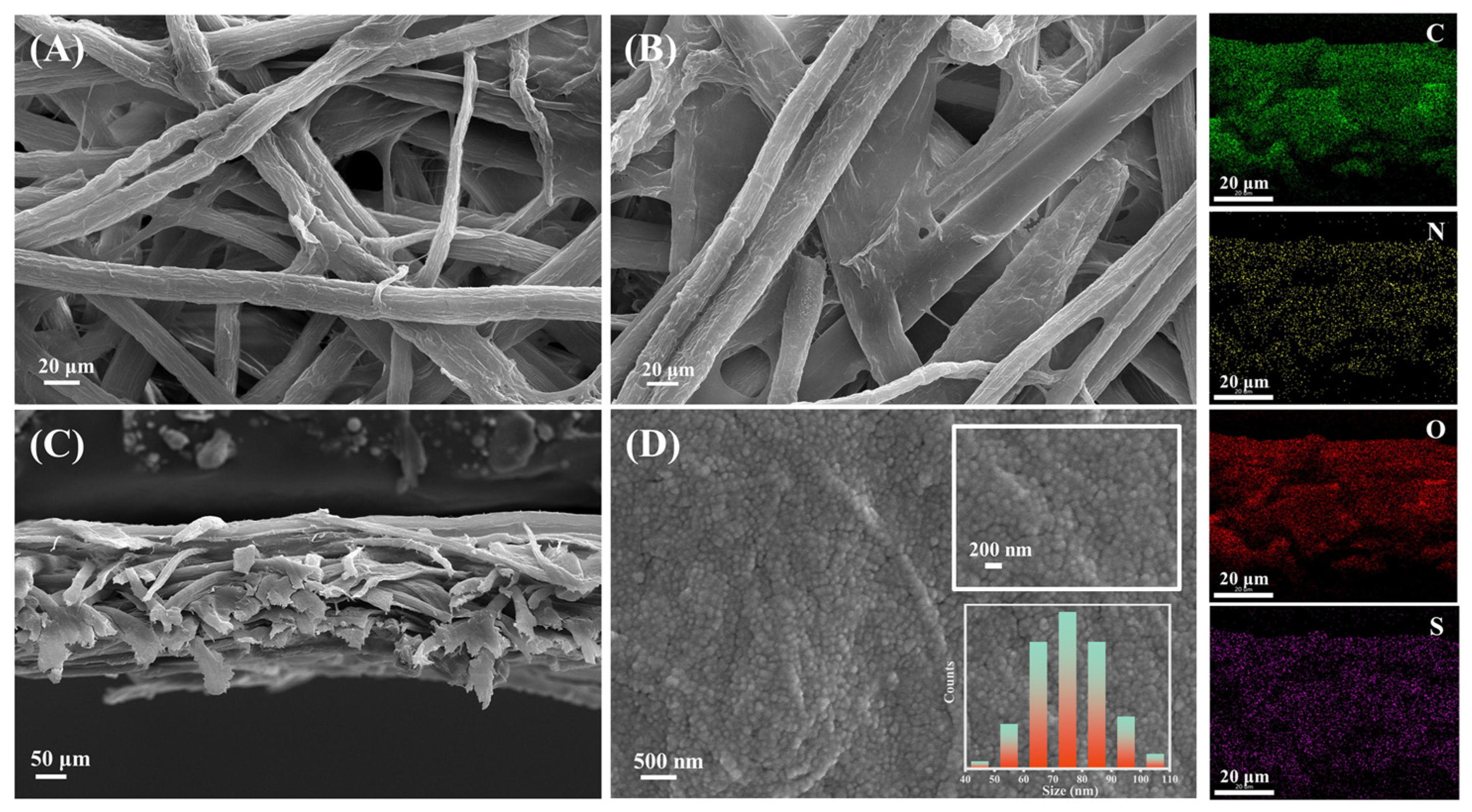 Molecules 28 06791 g003