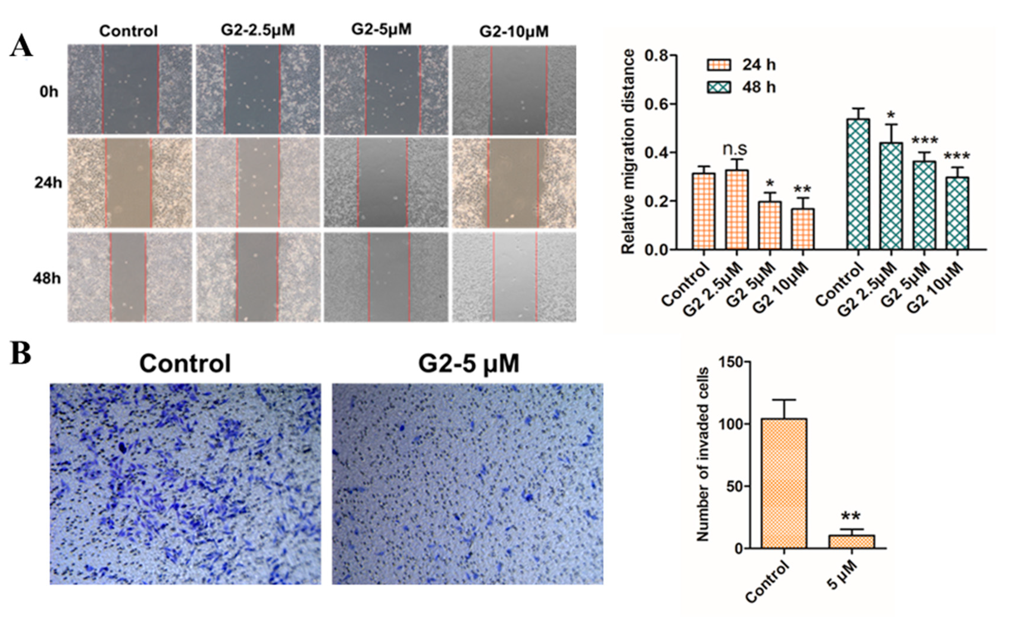 Molecules 28 06796 g005