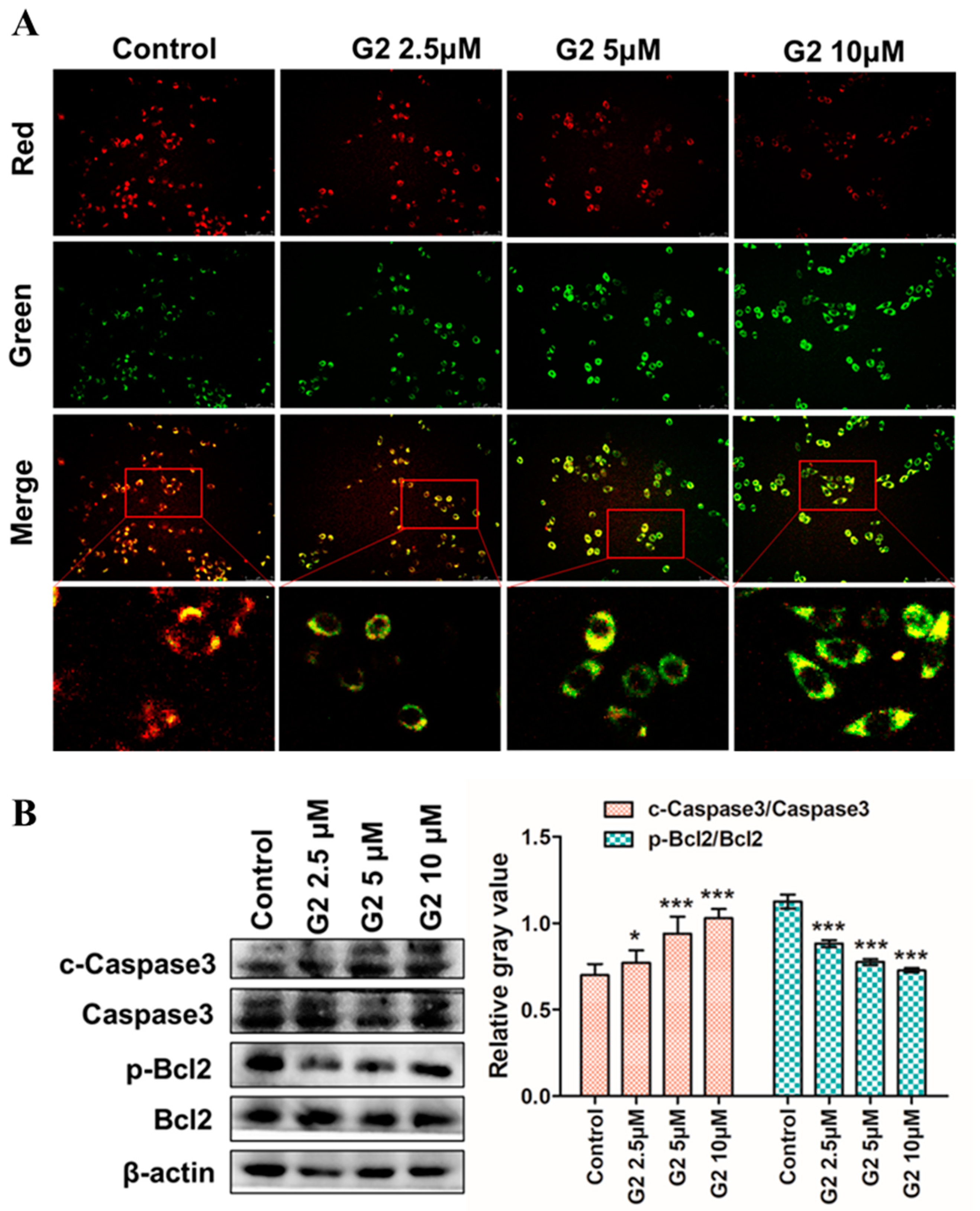 Molecules 28 06796 g006