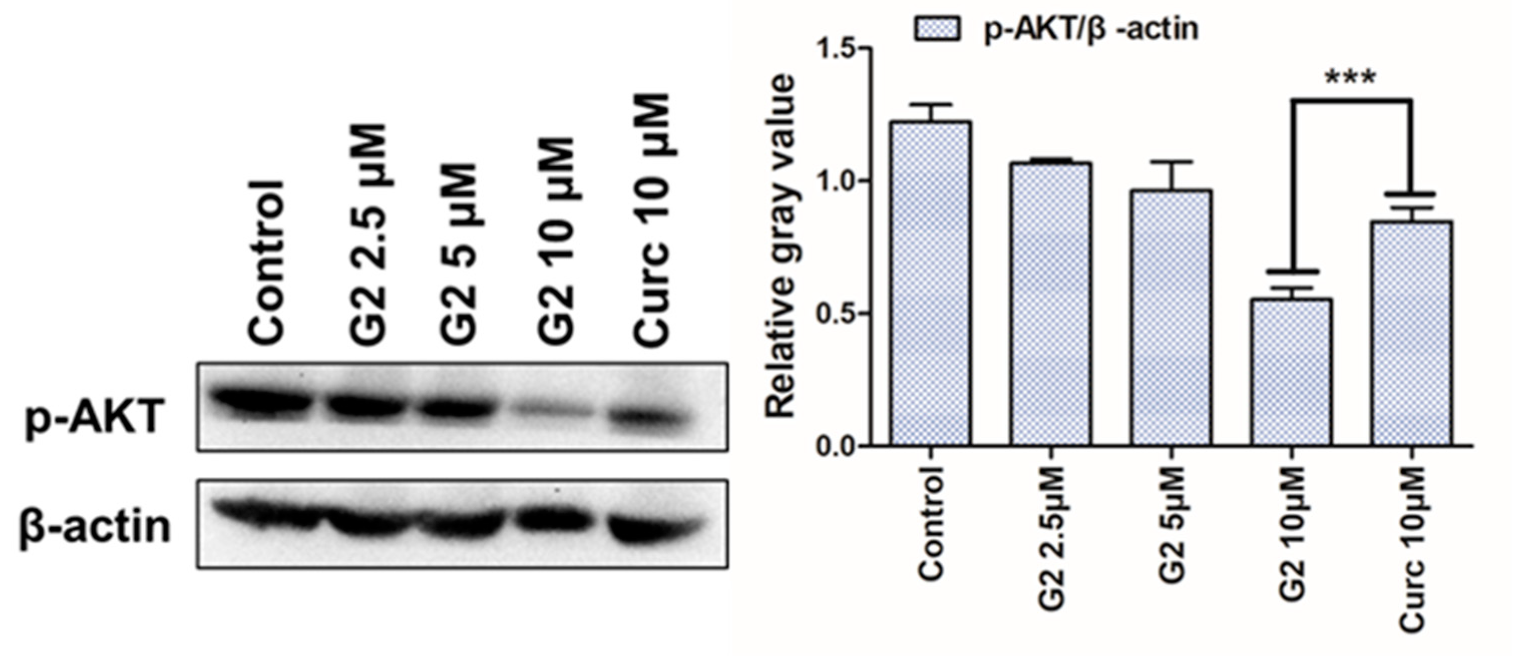 Molecules 28 06796 g007