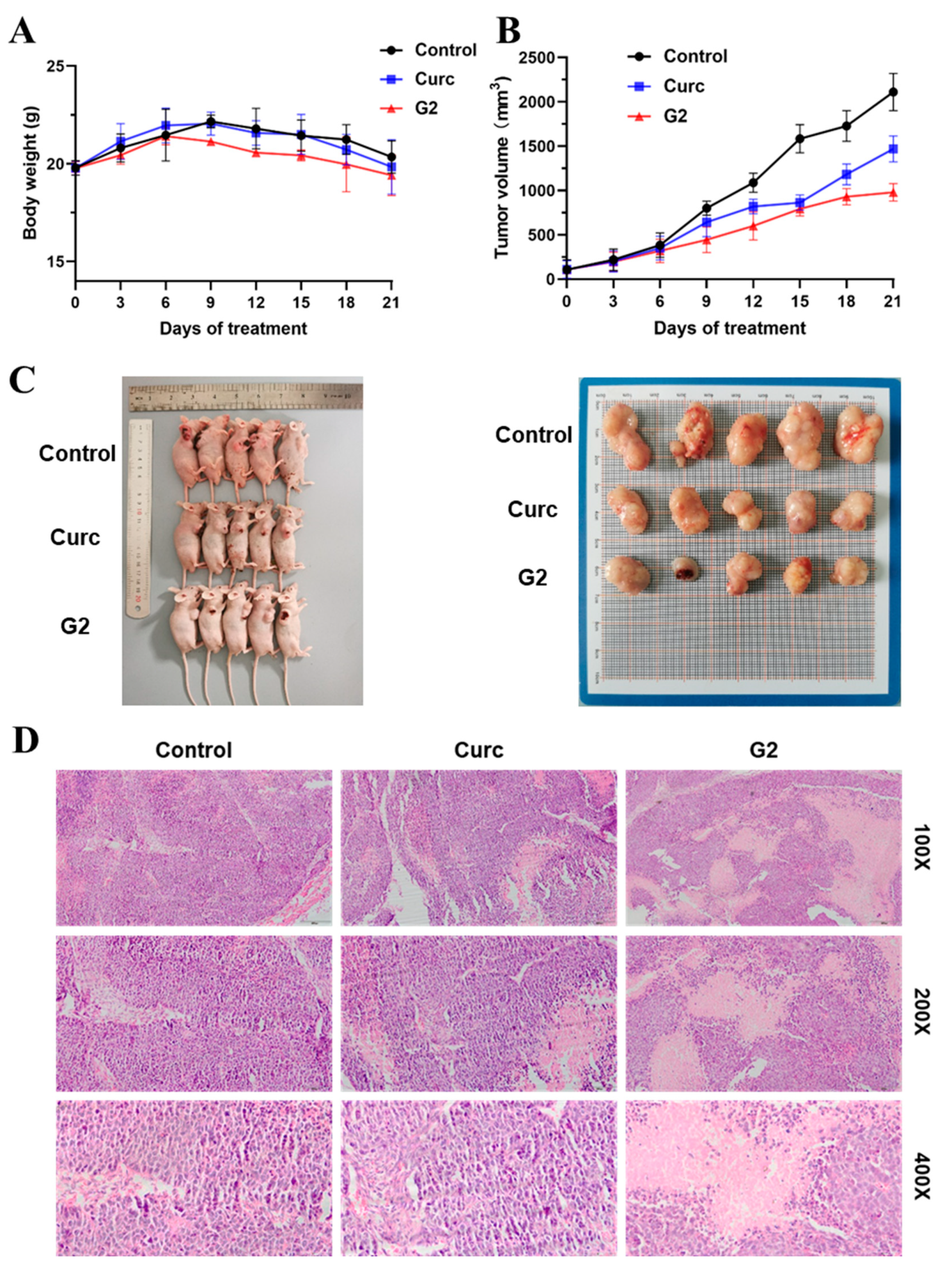 Molecules 28 06796 g008