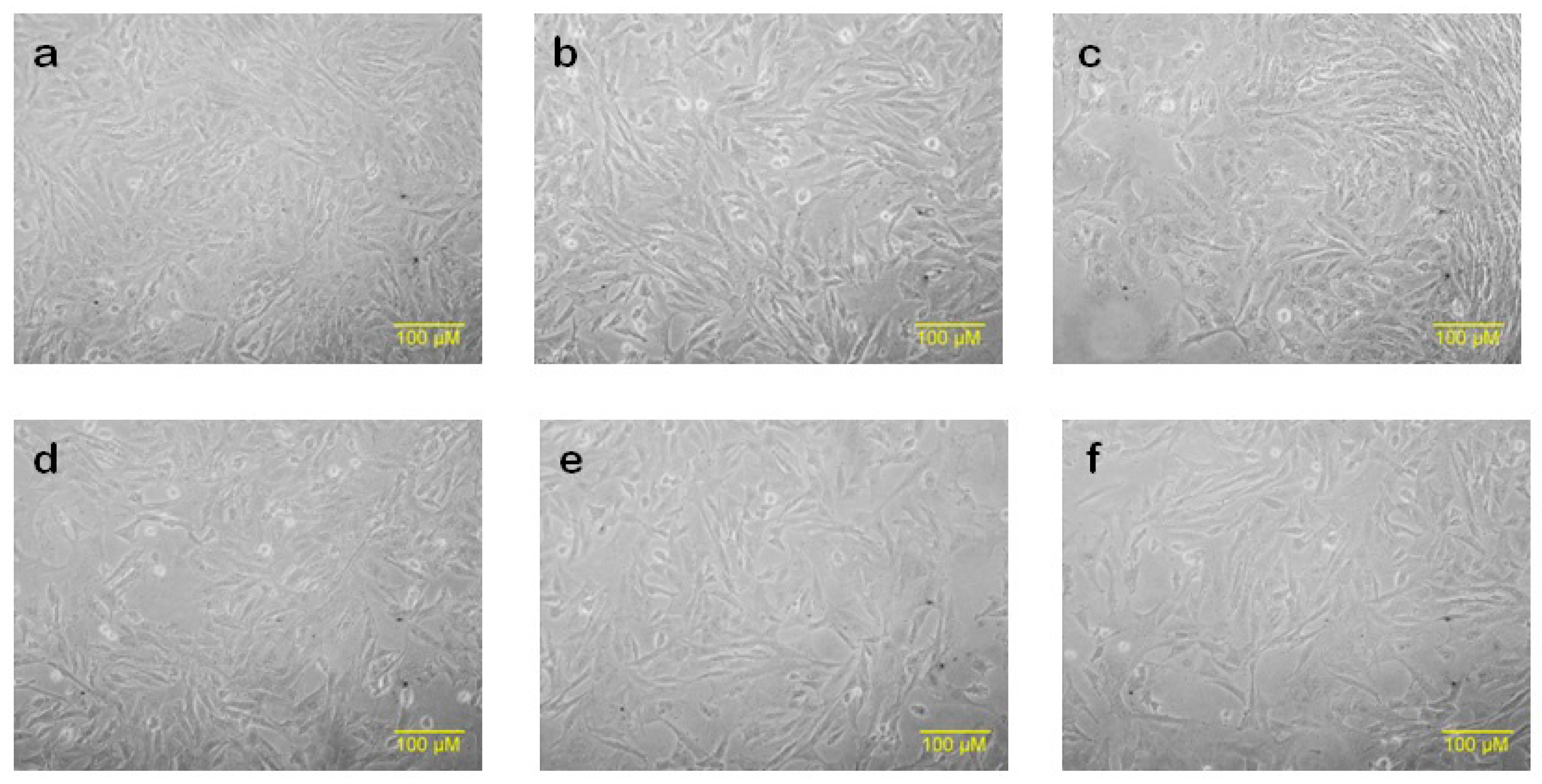 Molecules 28 06797 g009