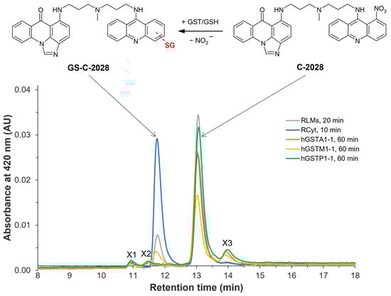 Molecules 28 06812 g001