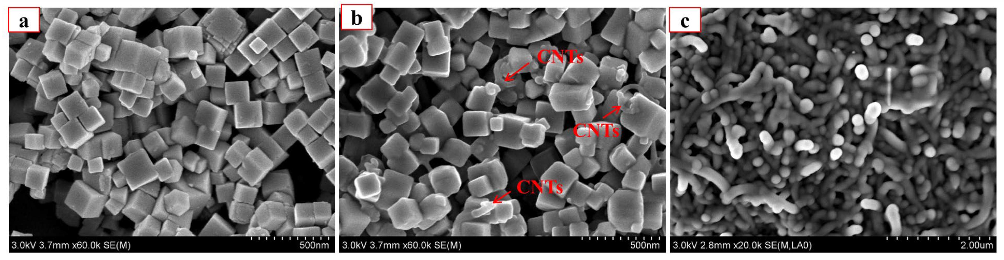 Molecules 28 06820 g001