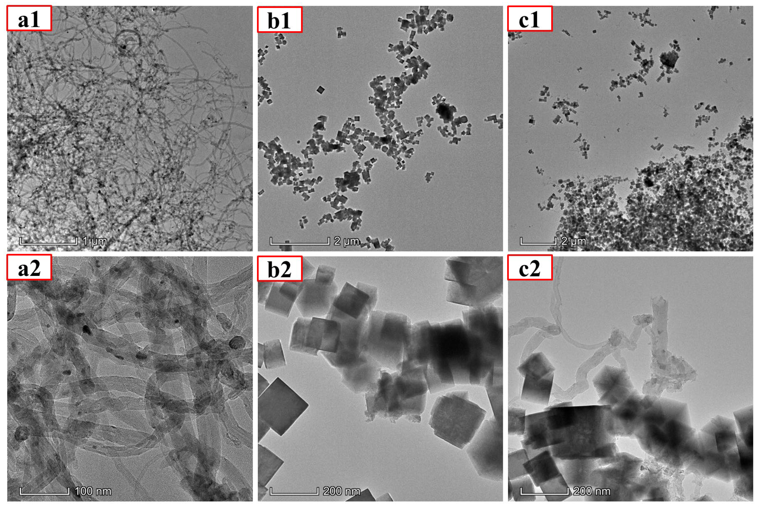 Molecules 28 06820 g002