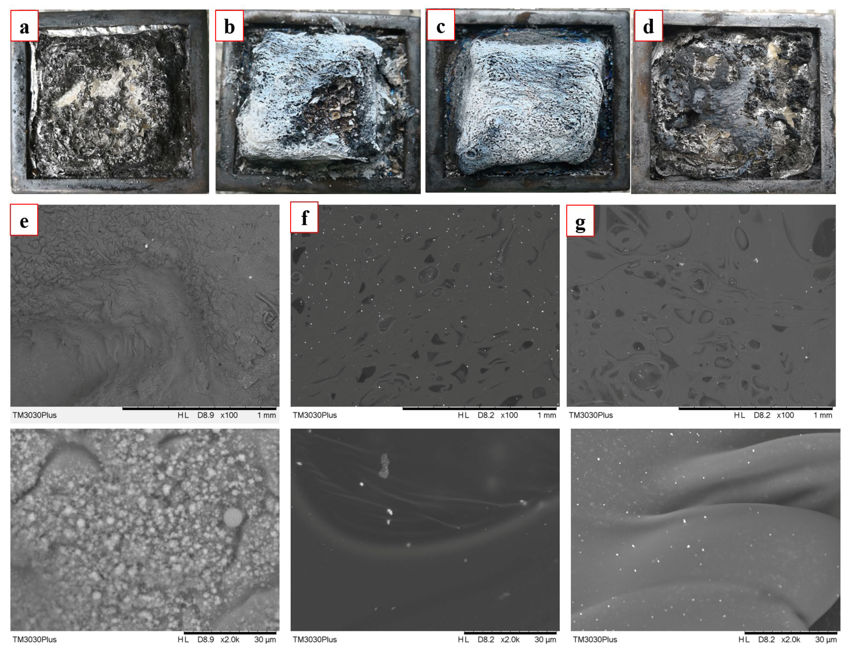 Molecules 28 06820 g005