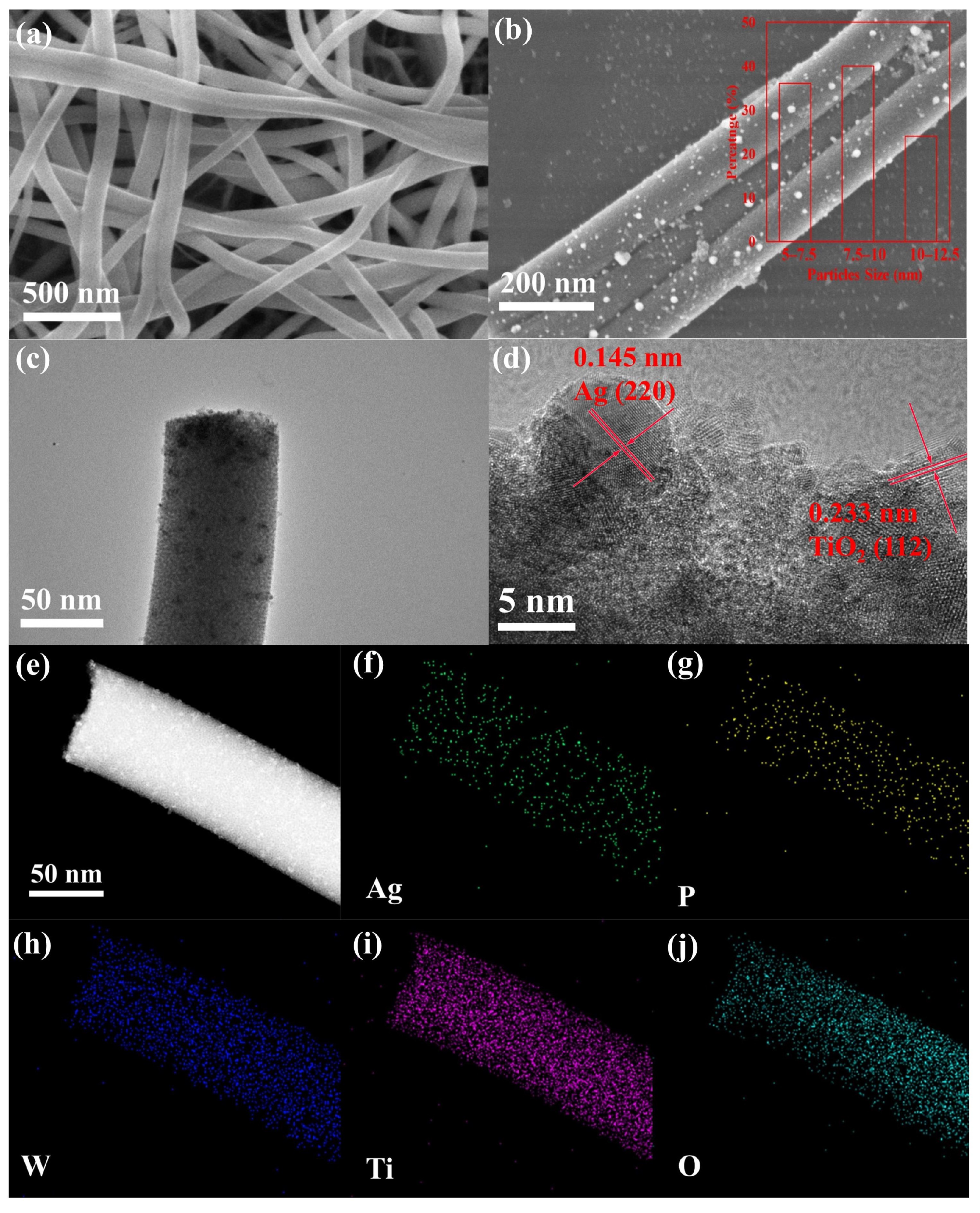 Molecules 28 06831 g001