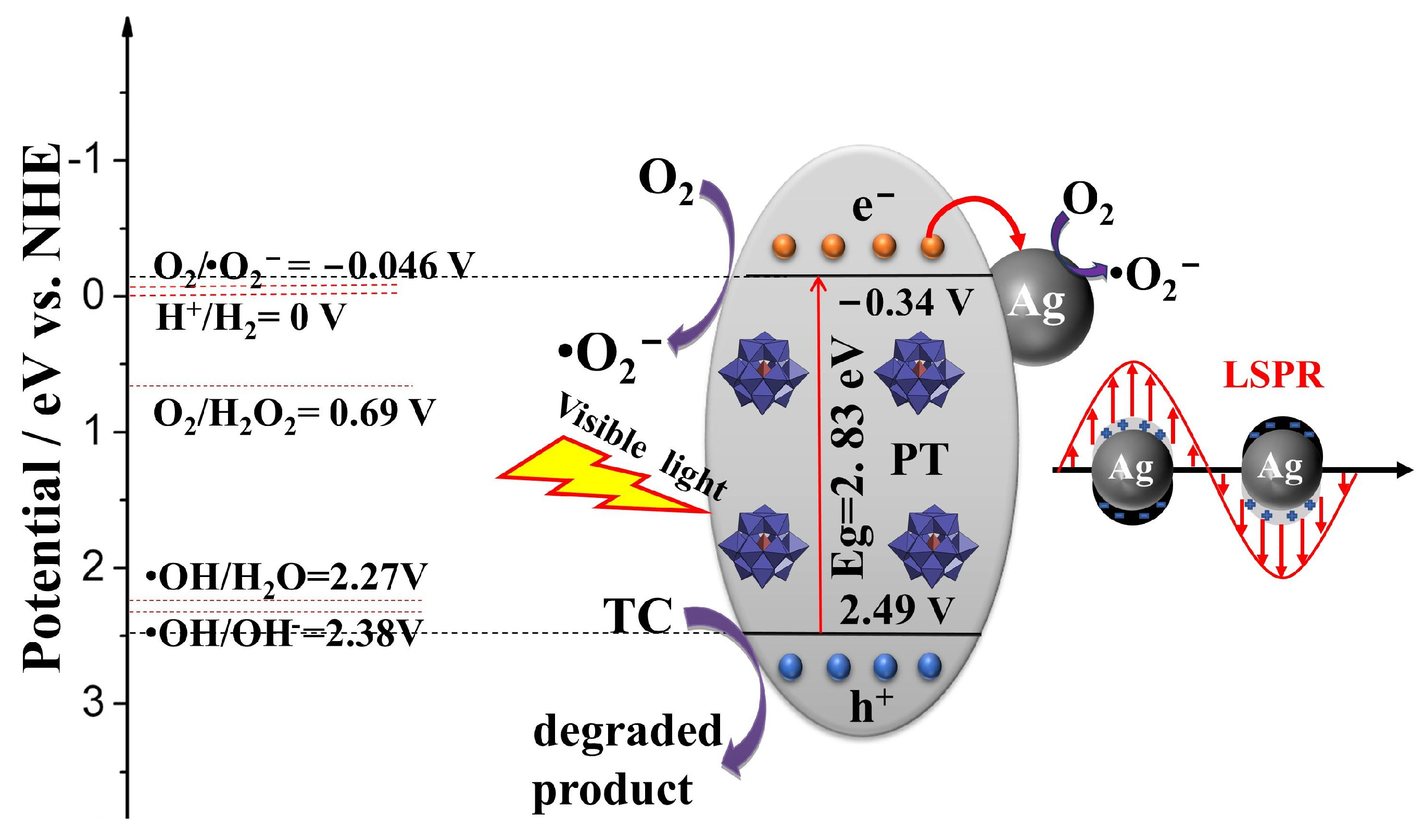 Molecules 28 06831 g013