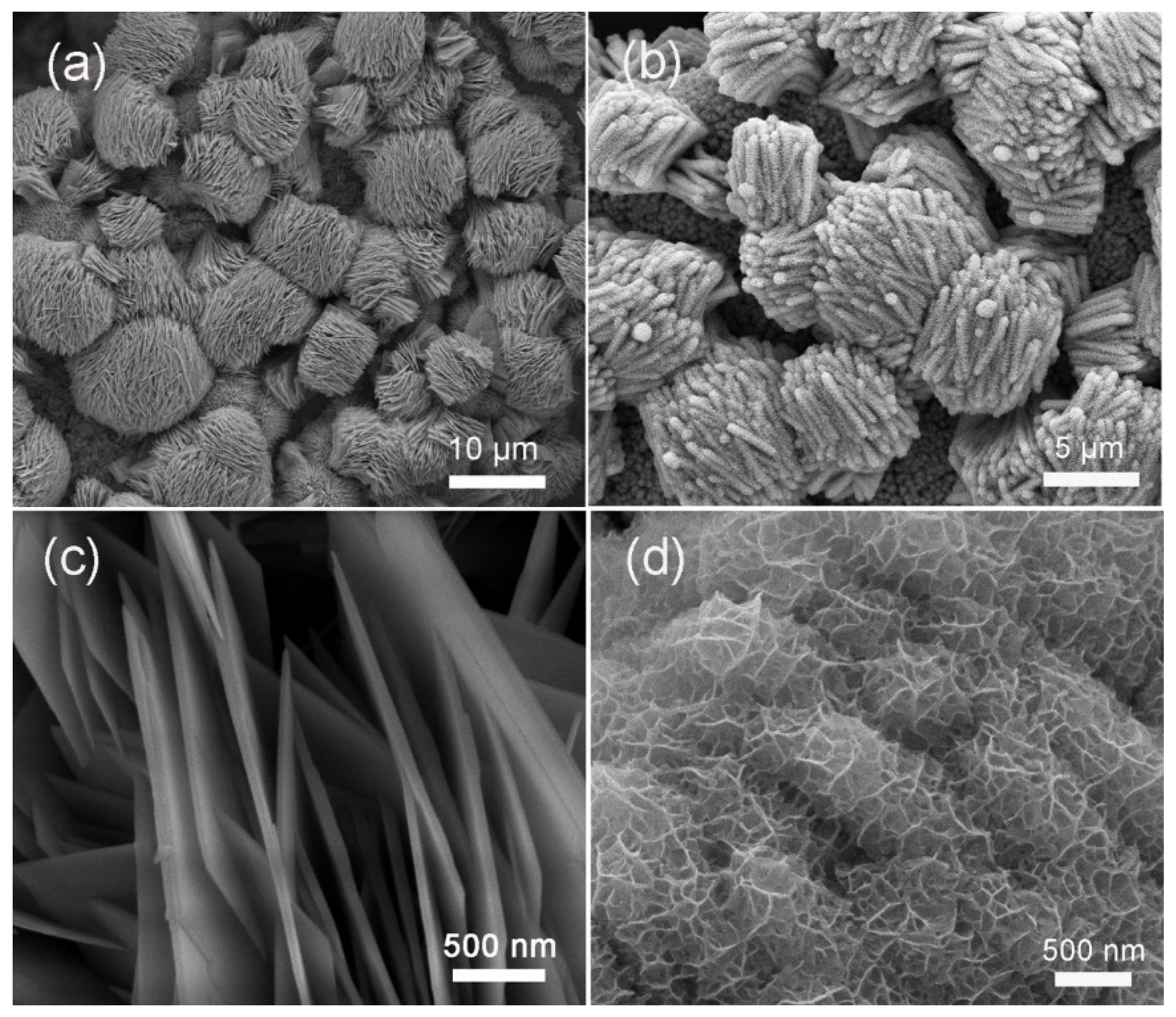 Molecules 28 06840 g001