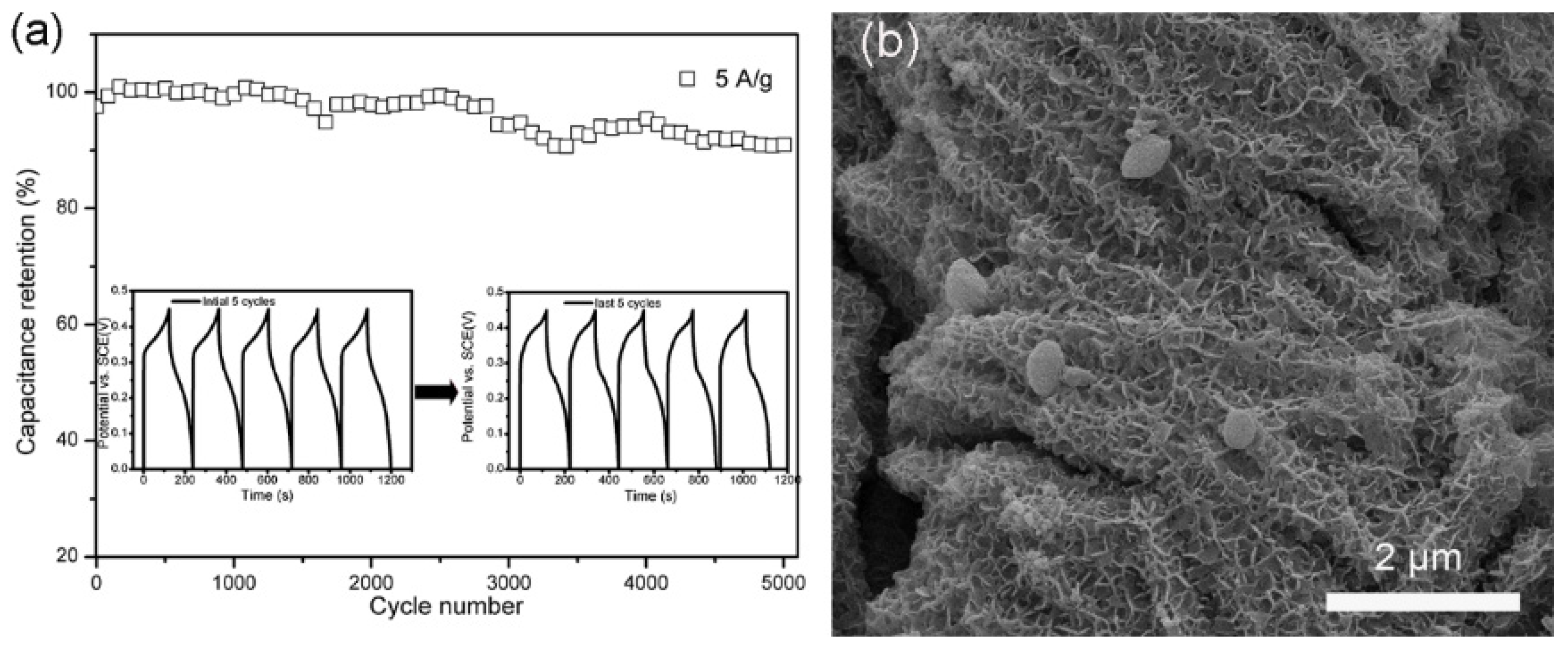 Molecules 28 06840 g006