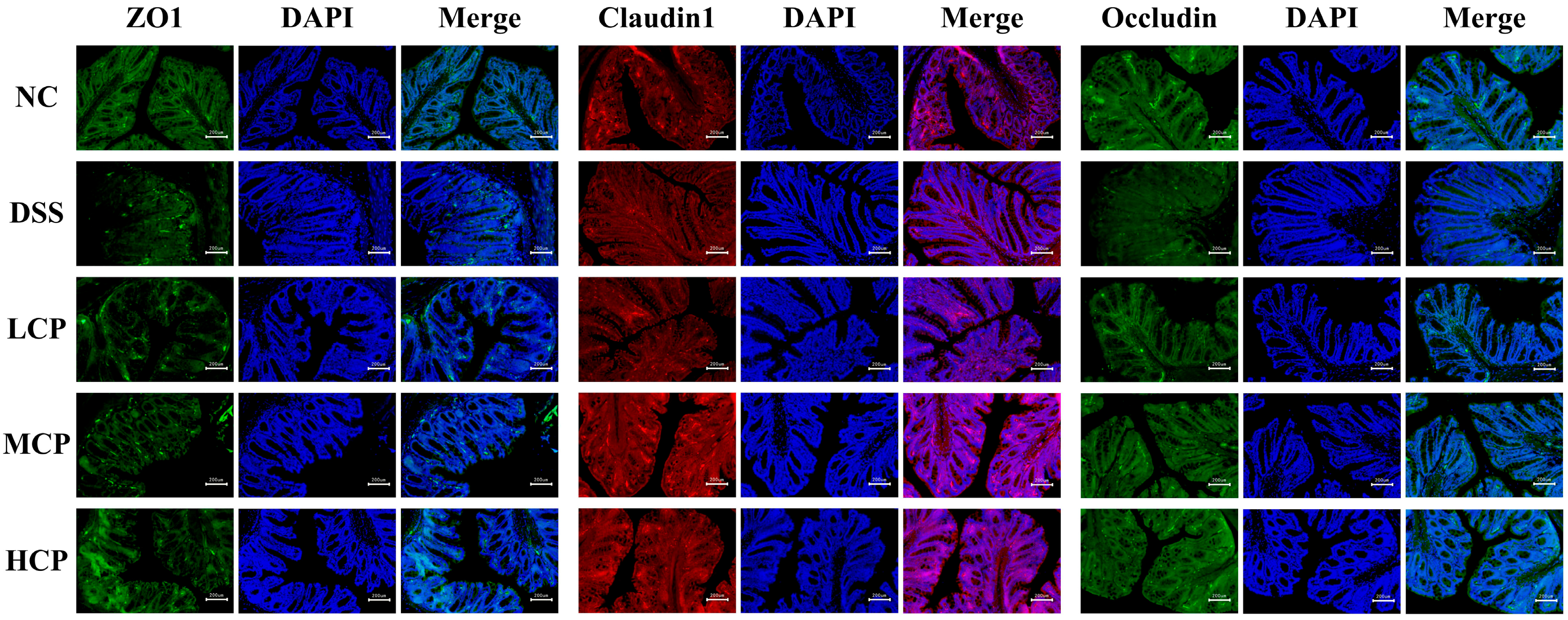 Molecules 28 06849 g008