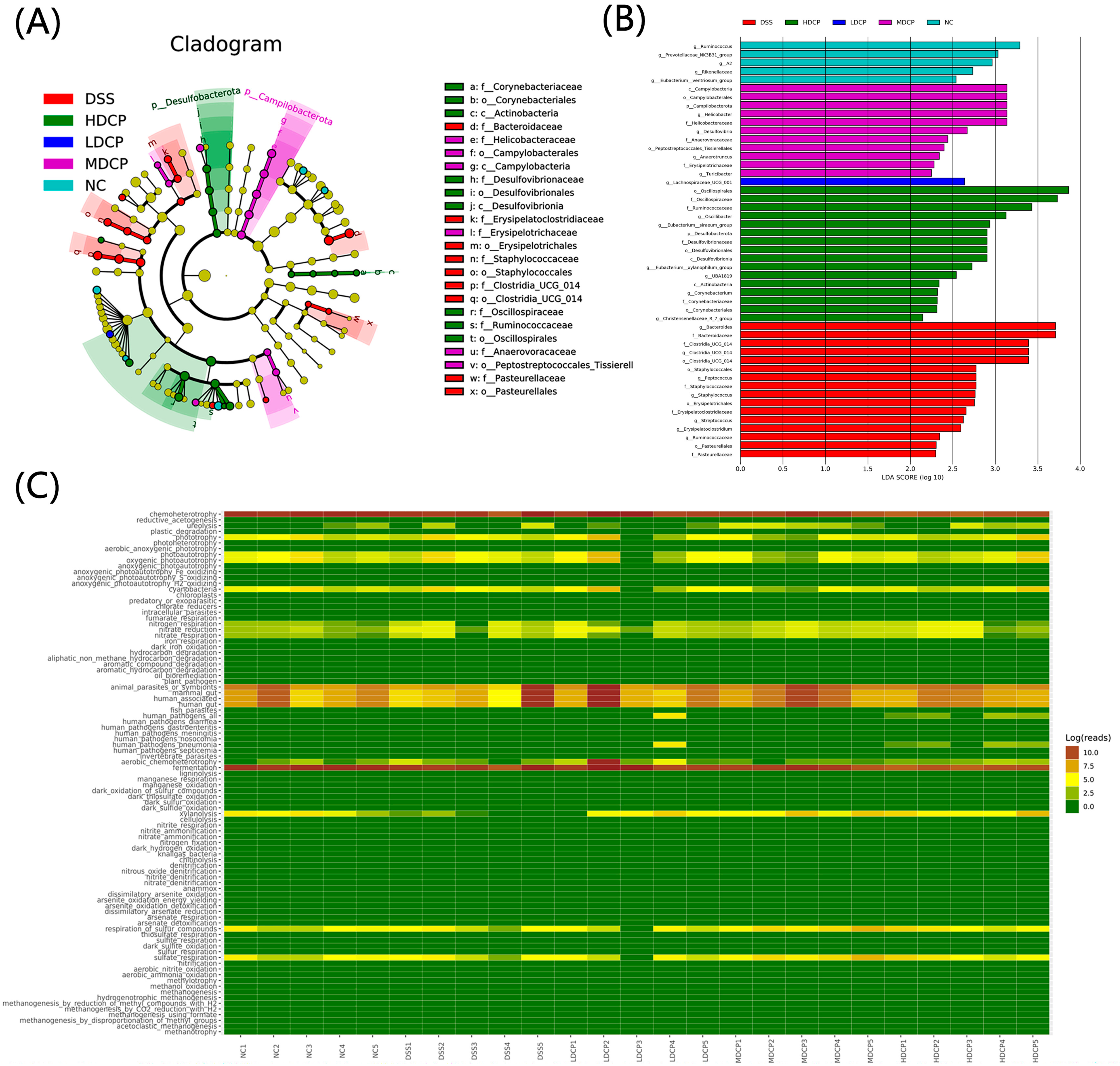 Molecules 28 06849 g011