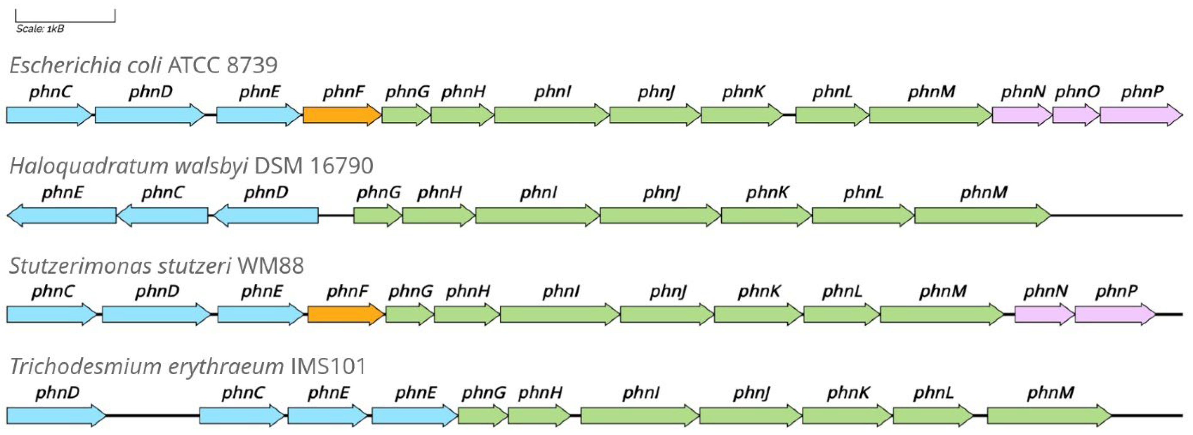 Molecules 28 06863 g006