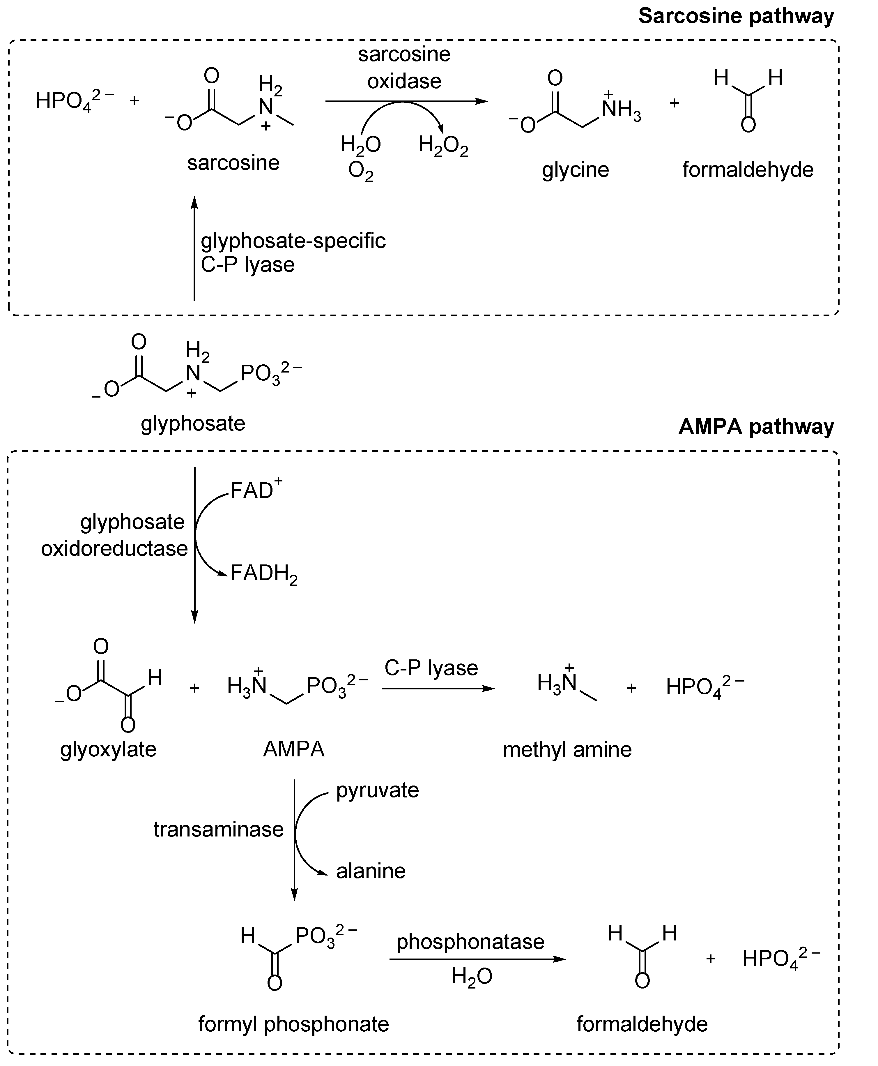 Molecules 28 06863 g008