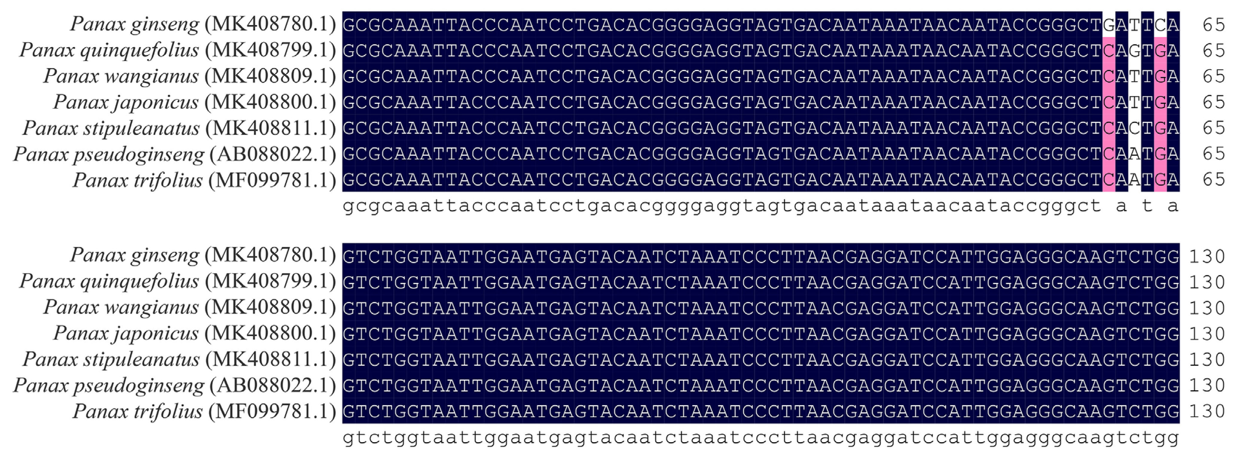 Molecules 28 06872 g001