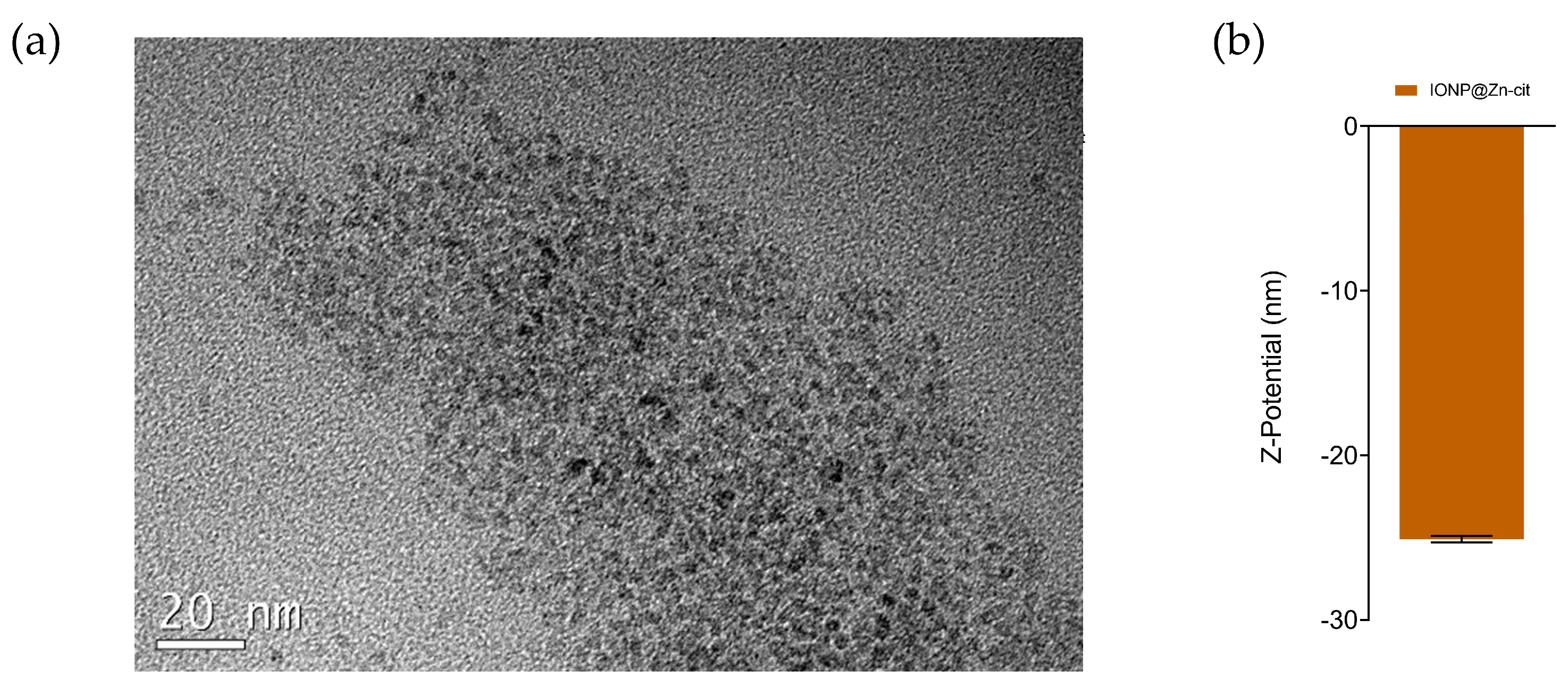 Molecules 28 06874 g001