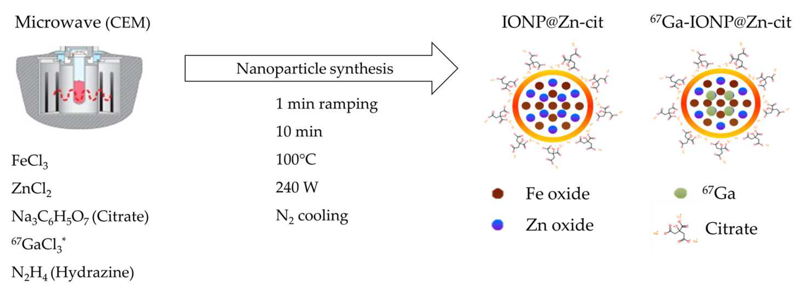 Molecules 28 06874 g007
