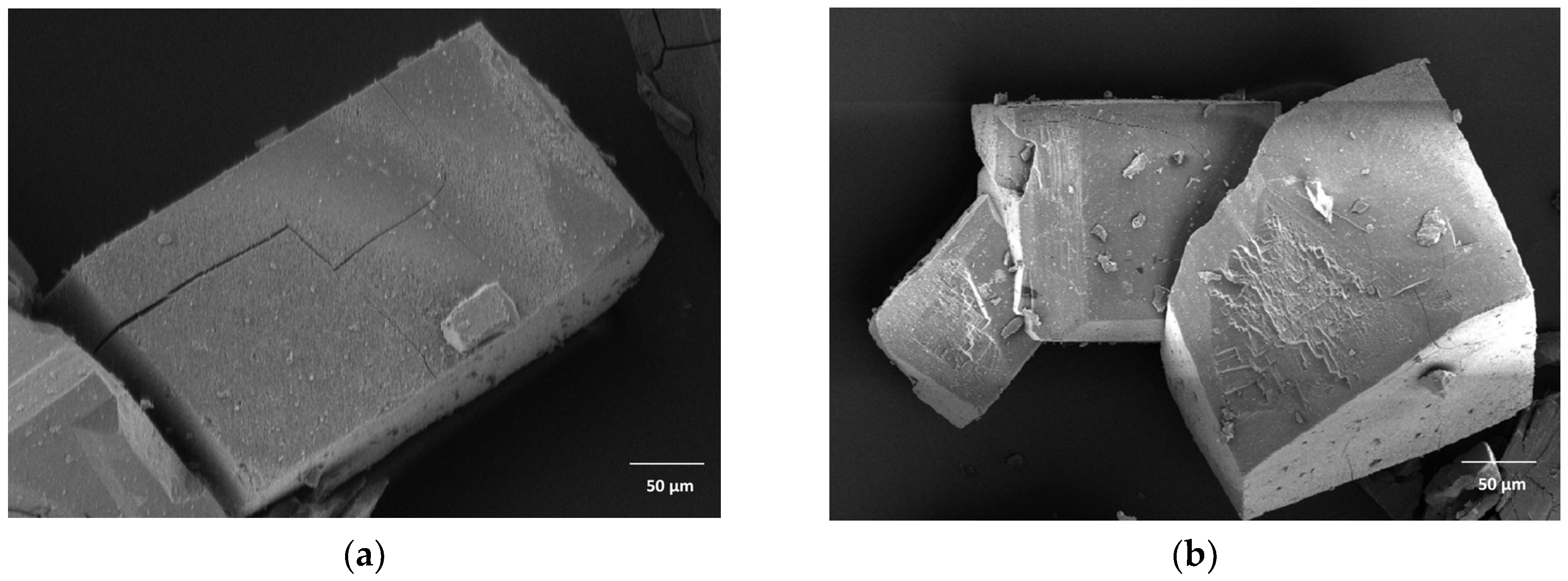 Molecules 28 06876 g001