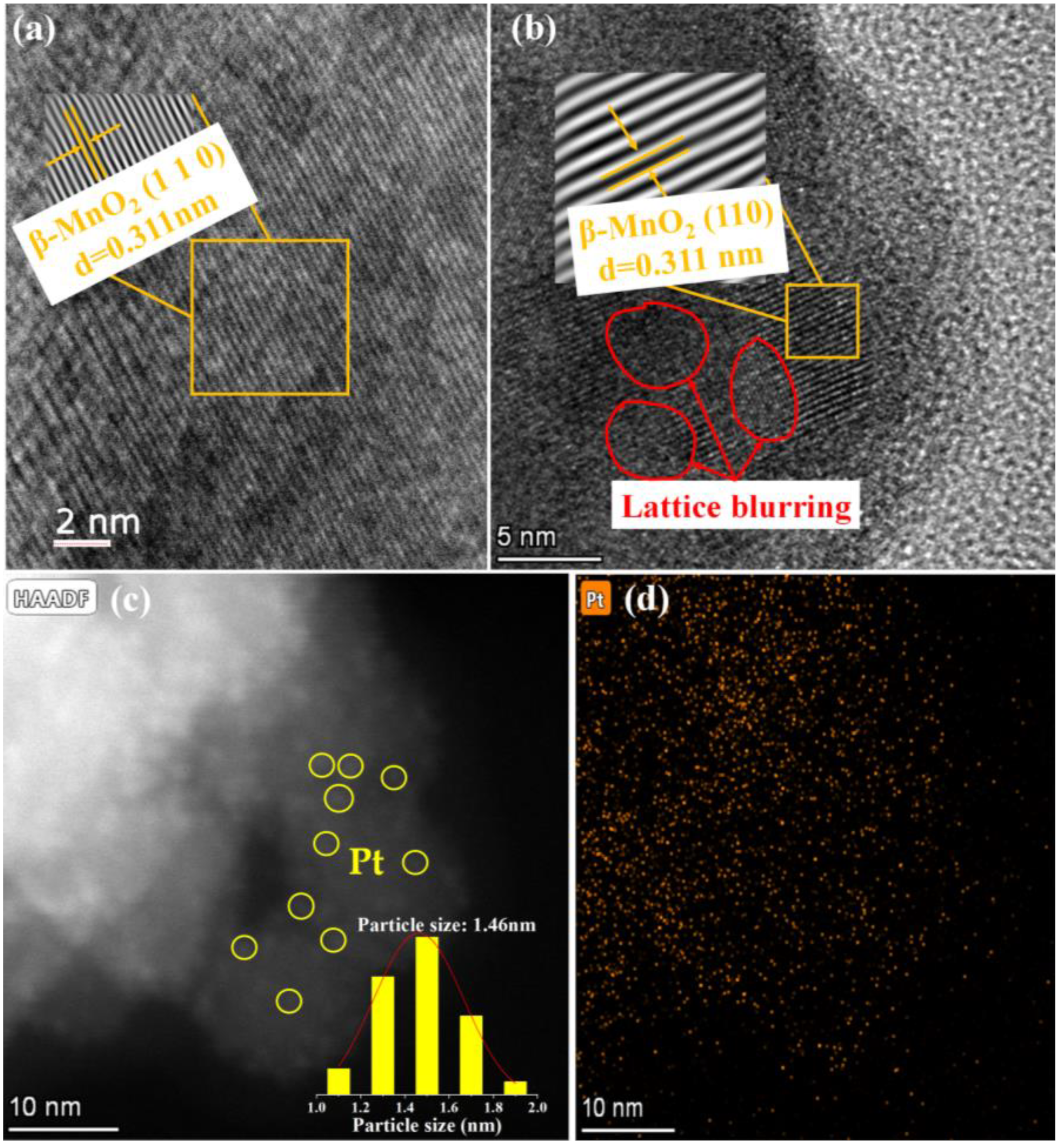 Molecules 28 06879 g002
