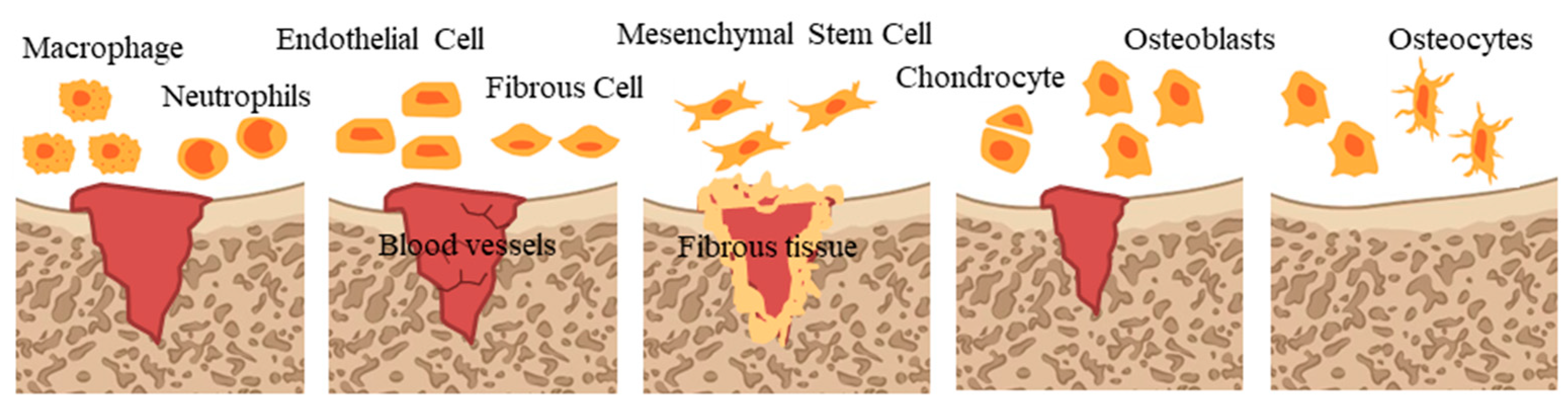 Molecules 28 06888 g001