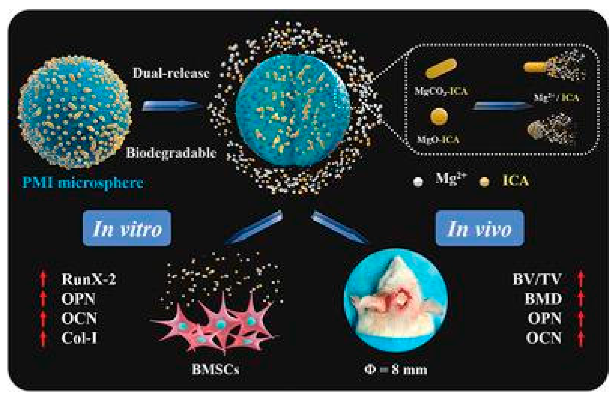 Molecules 28 06888 g002