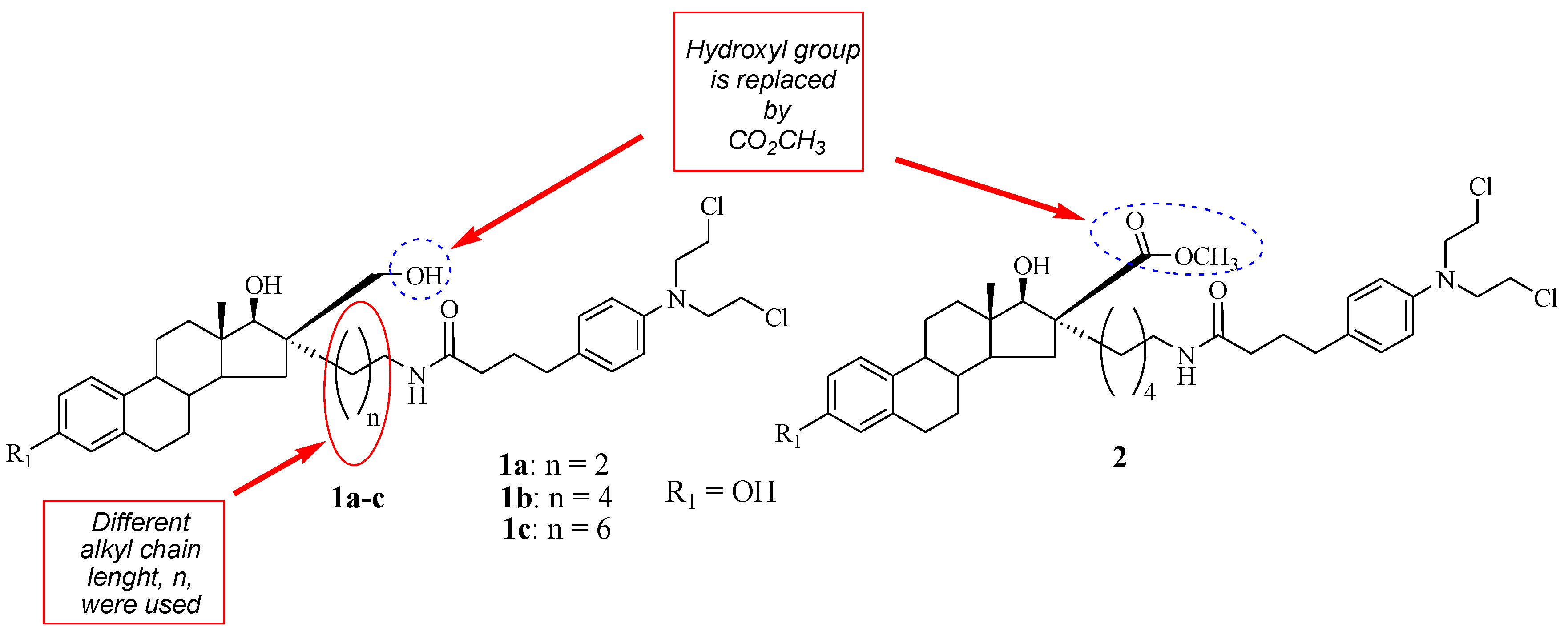 Molecules 28 06889 g003