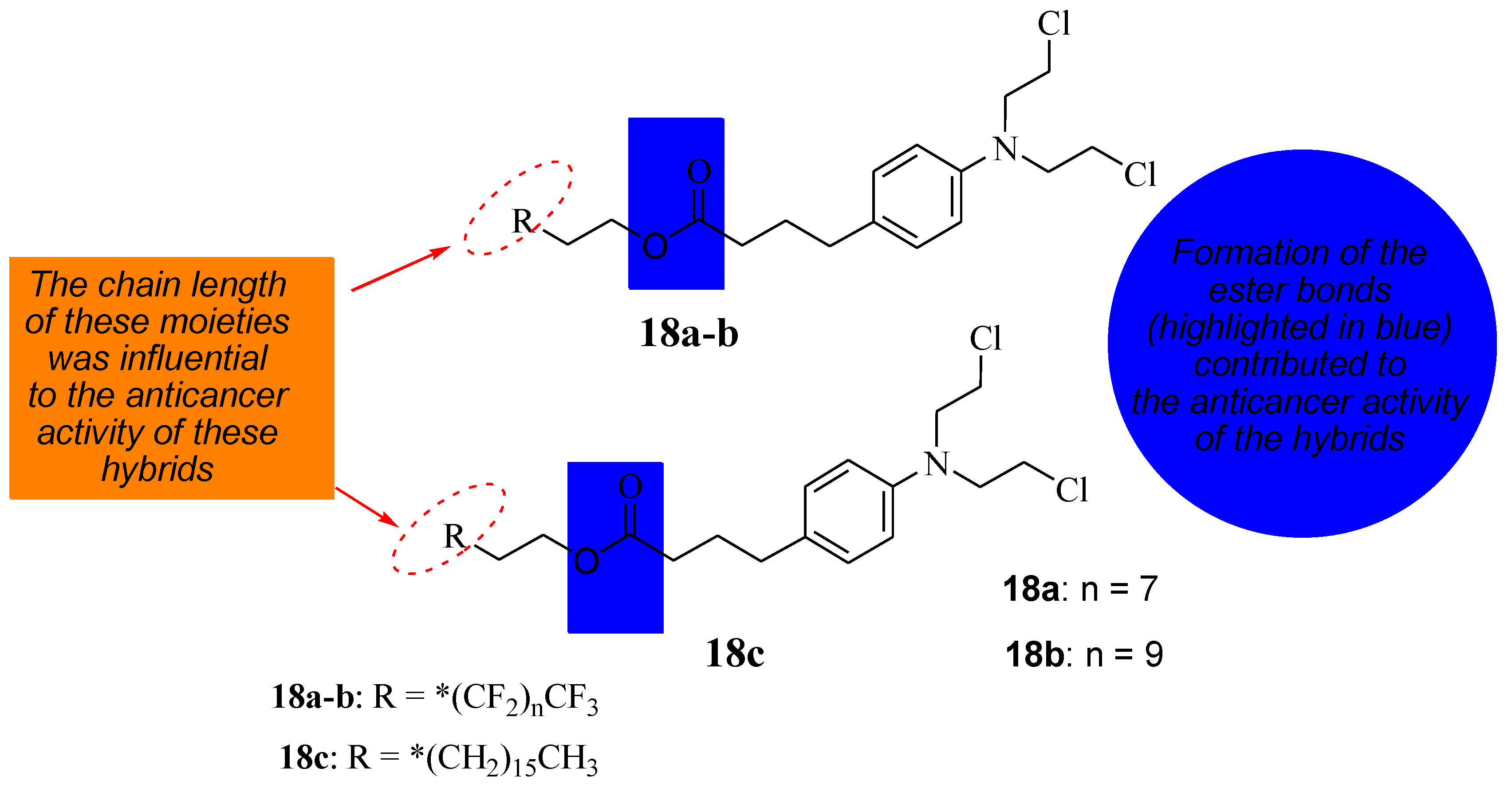 Molecules 28 06889 g013
