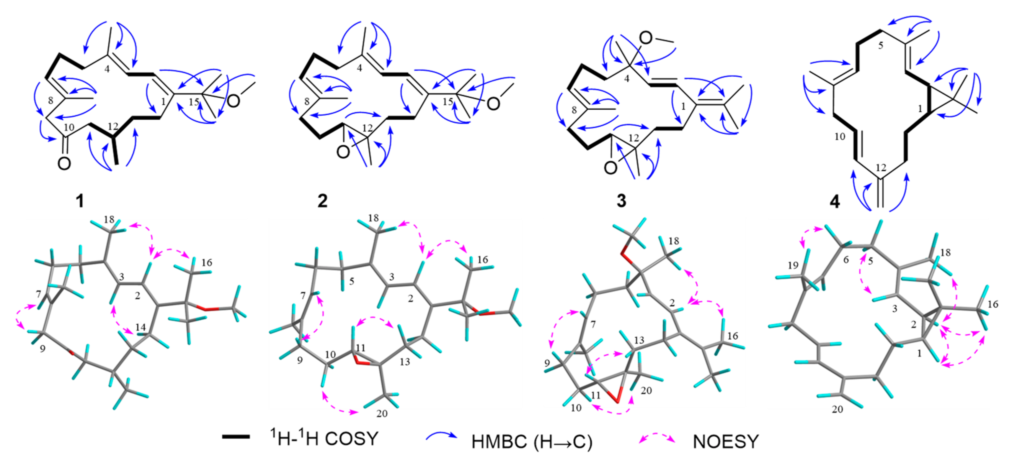 Molecules 28 06892 g002