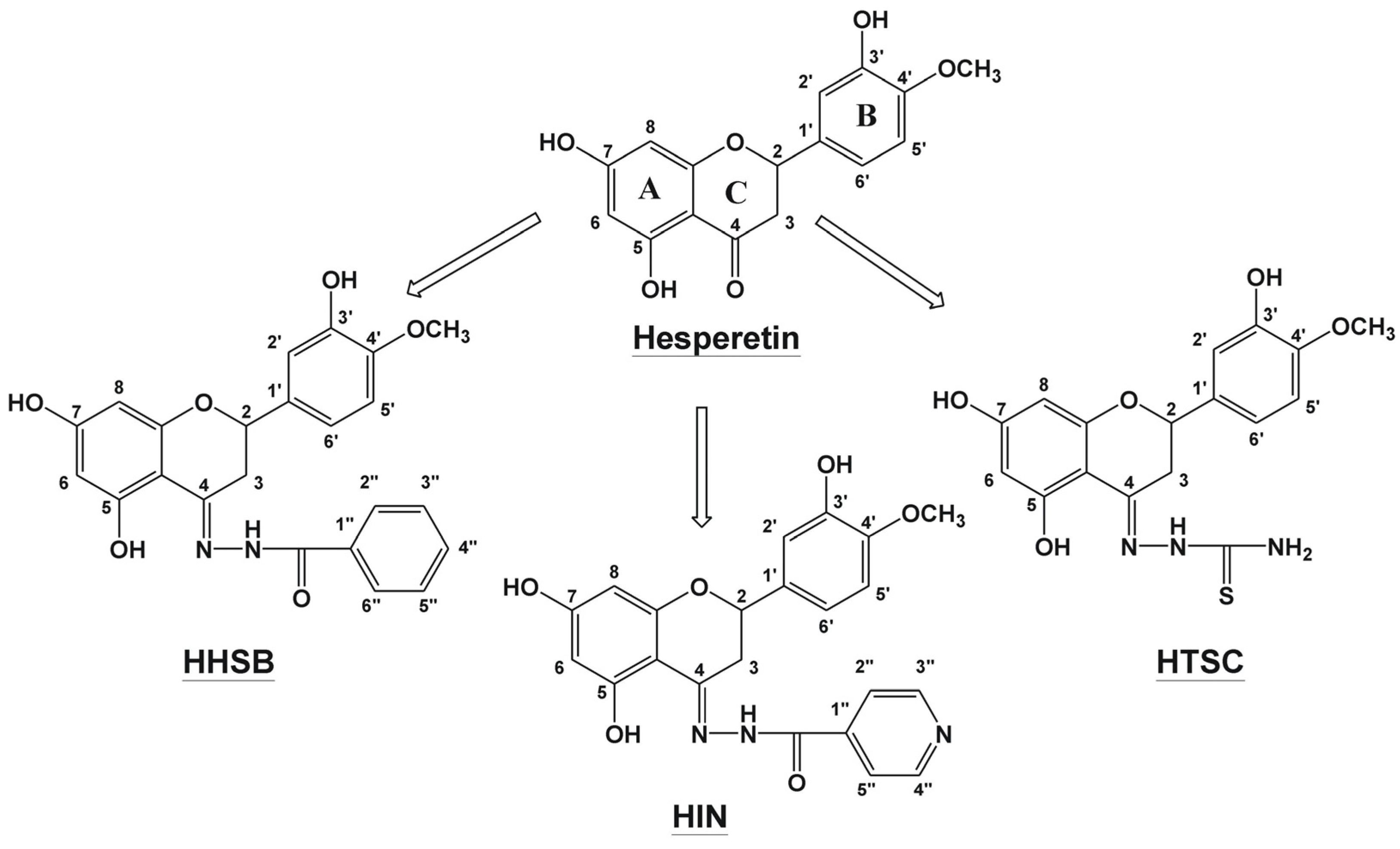Molecules 28 06893 g001