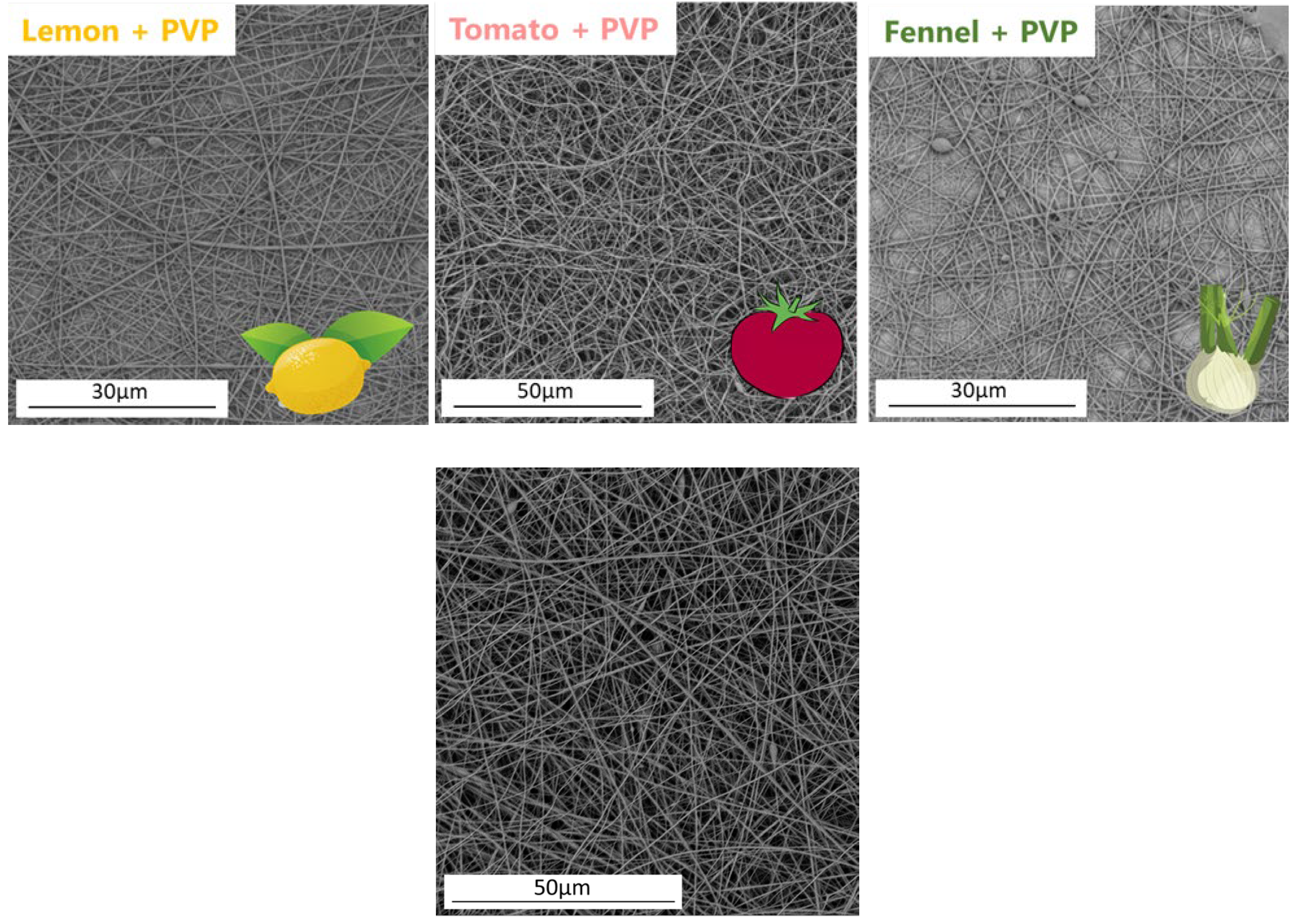Molecules 28 06894 g010