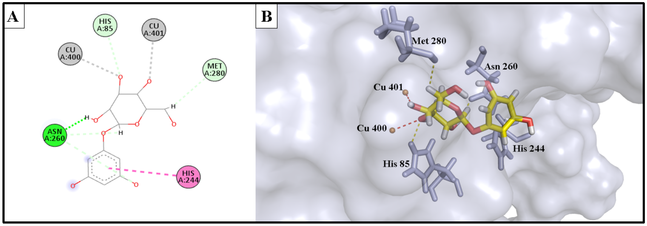 Molecules 28 06895 g006