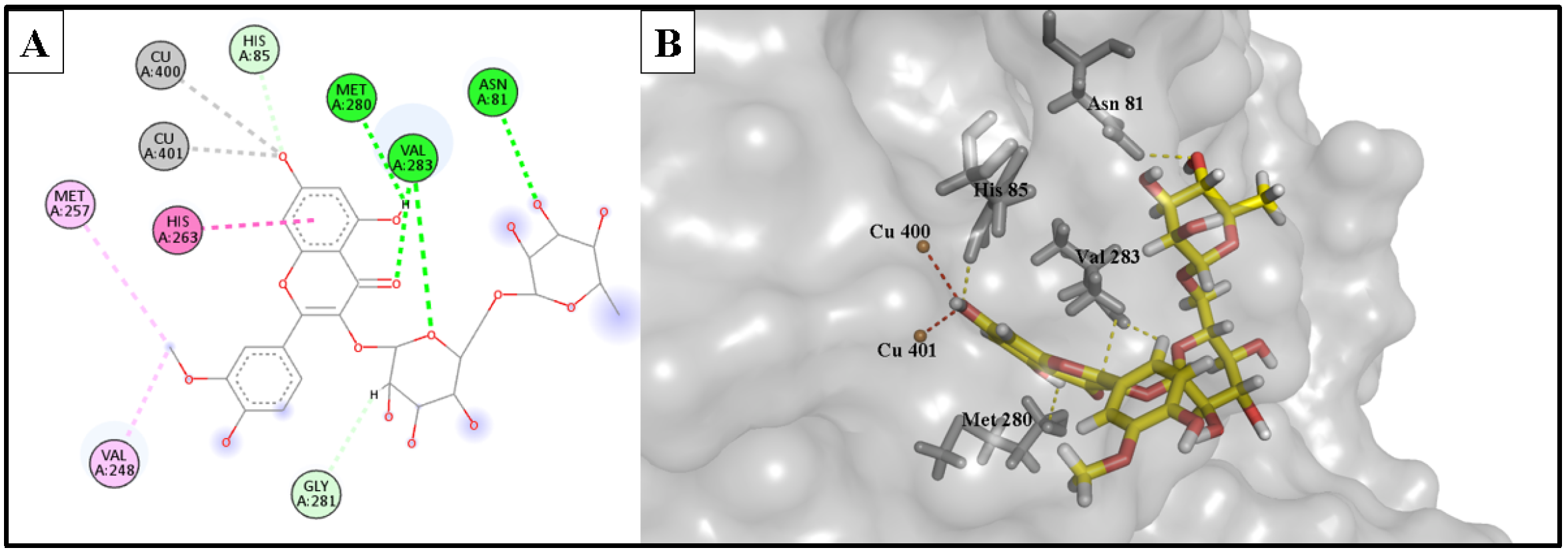 Molecules 28 06895 g007