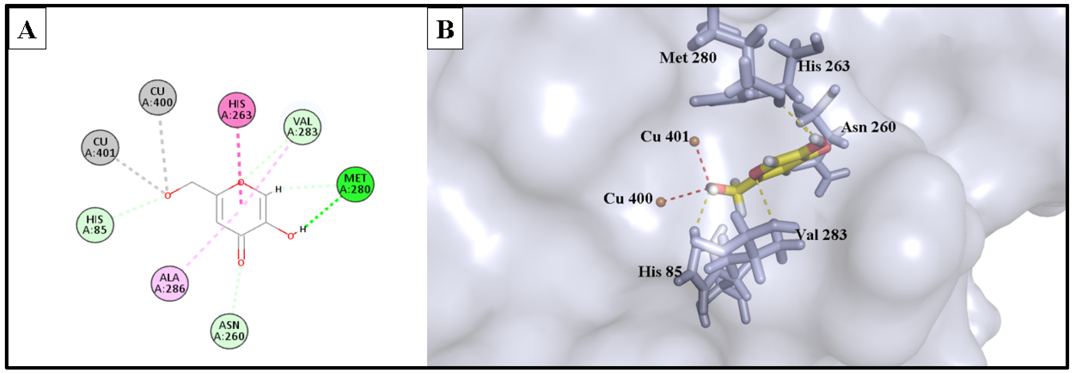Molecules 28 06895 g008