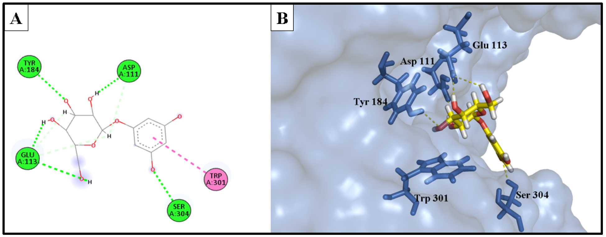 Molecules 28 06895 g010