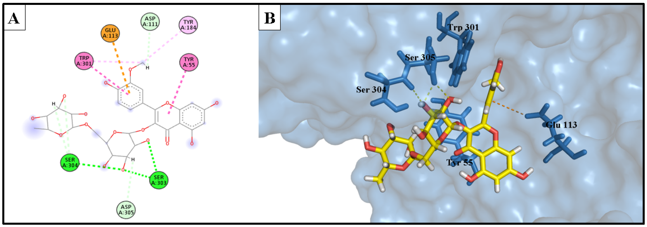 Molecules 28 06895 g011
