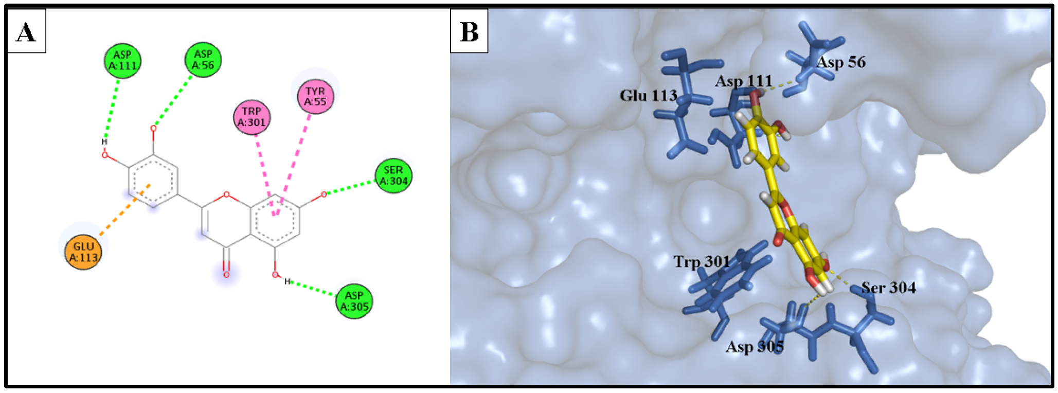 Molecules 28 06895 g012