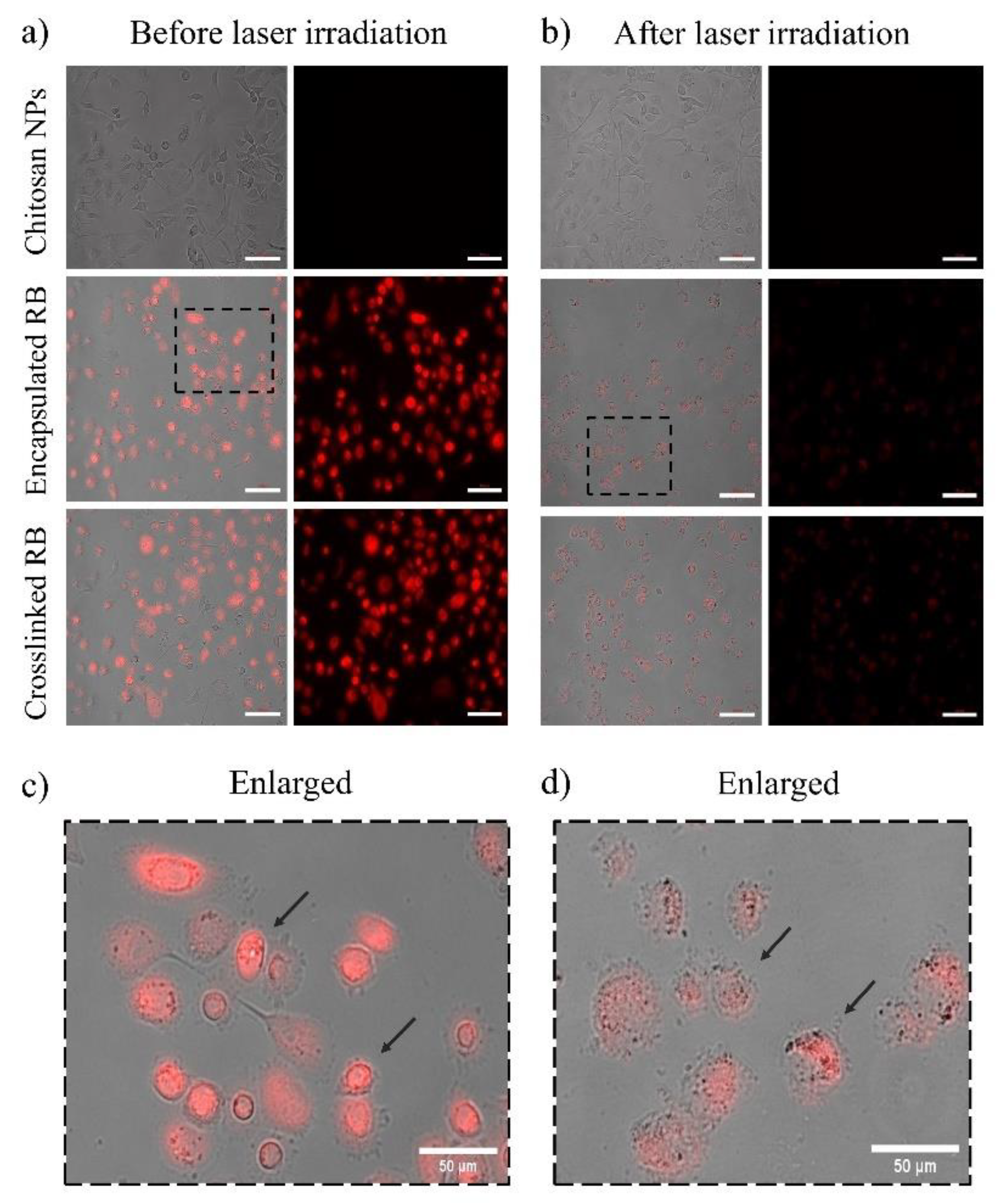 Molecules 28 06901 g006 Molecules 28 06901 g006