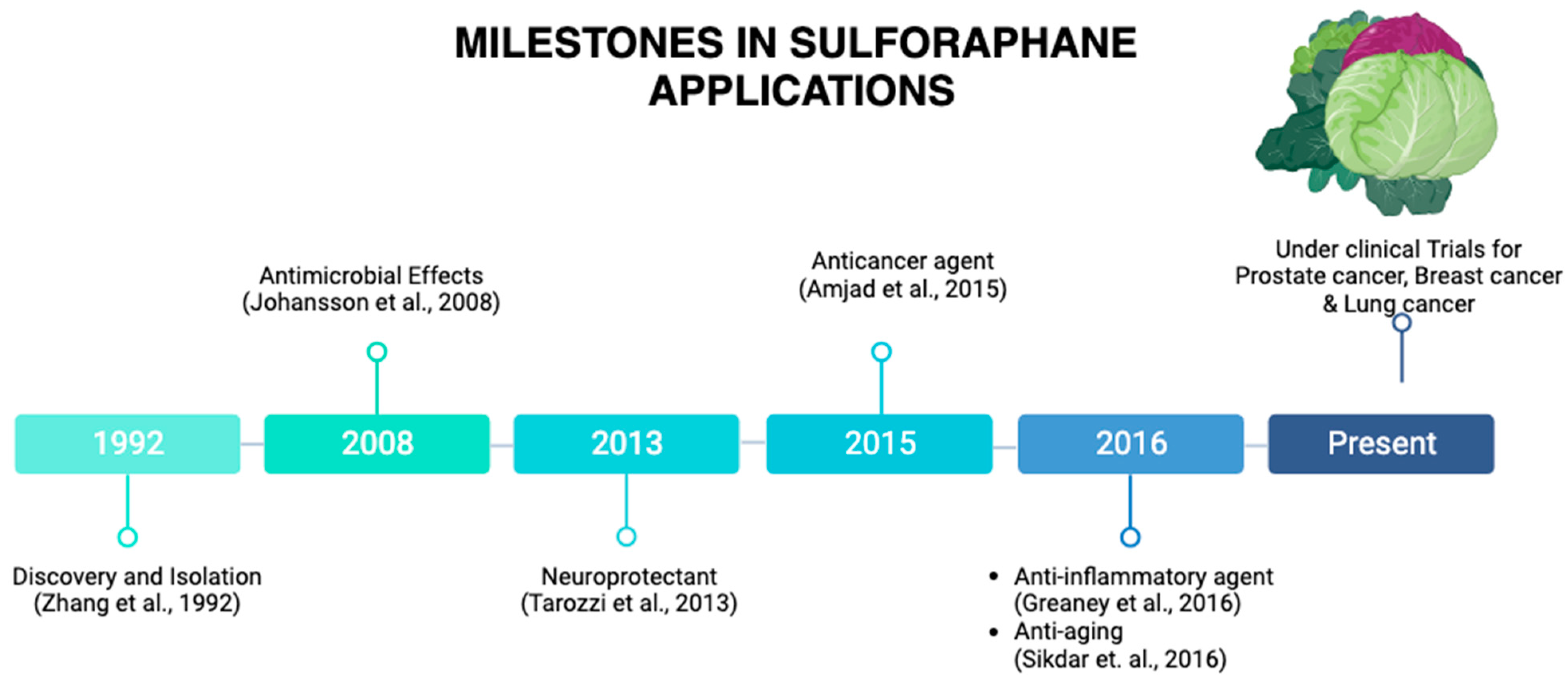 Molecules 28 06902 g002