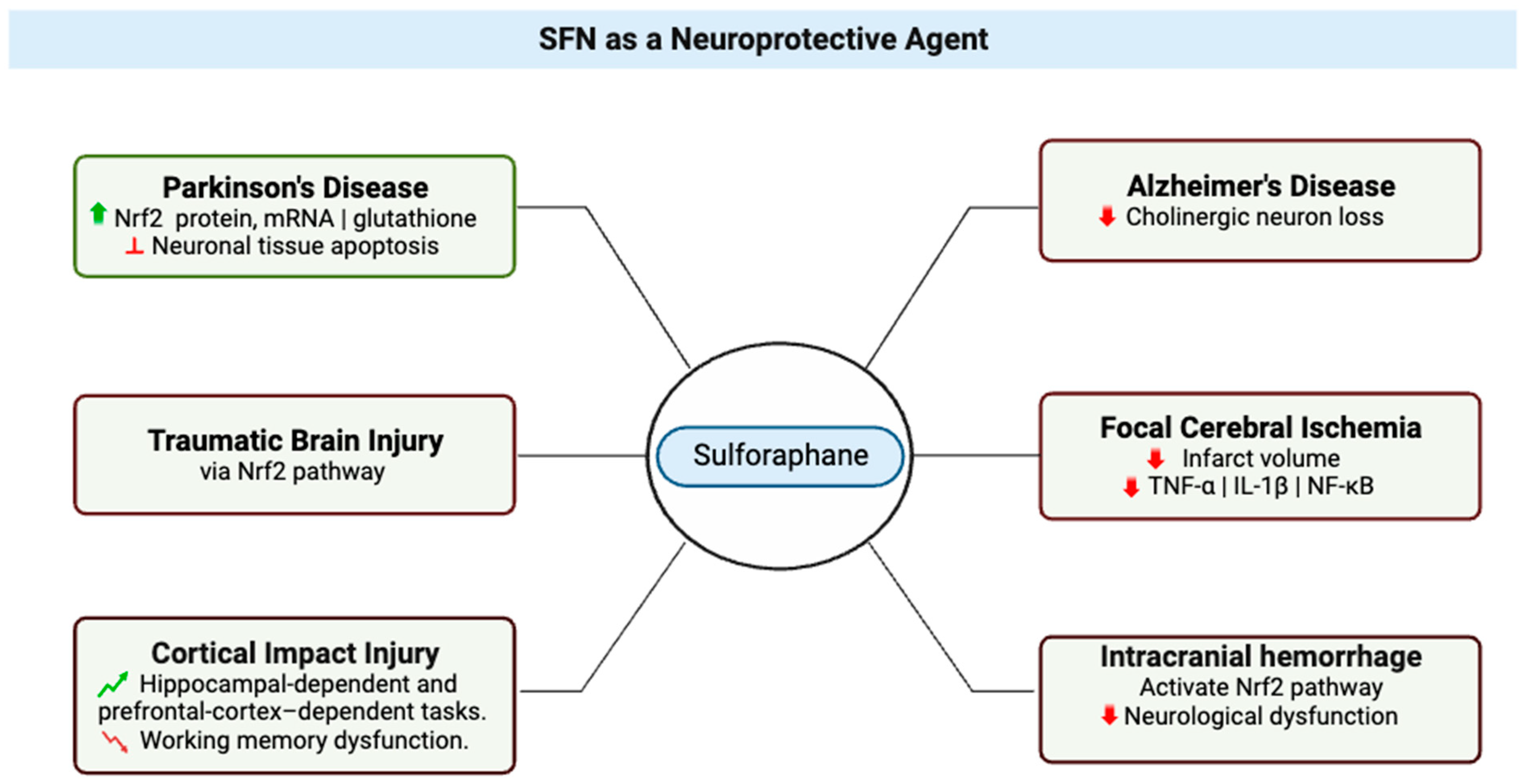 Molecules 28 06902 g003