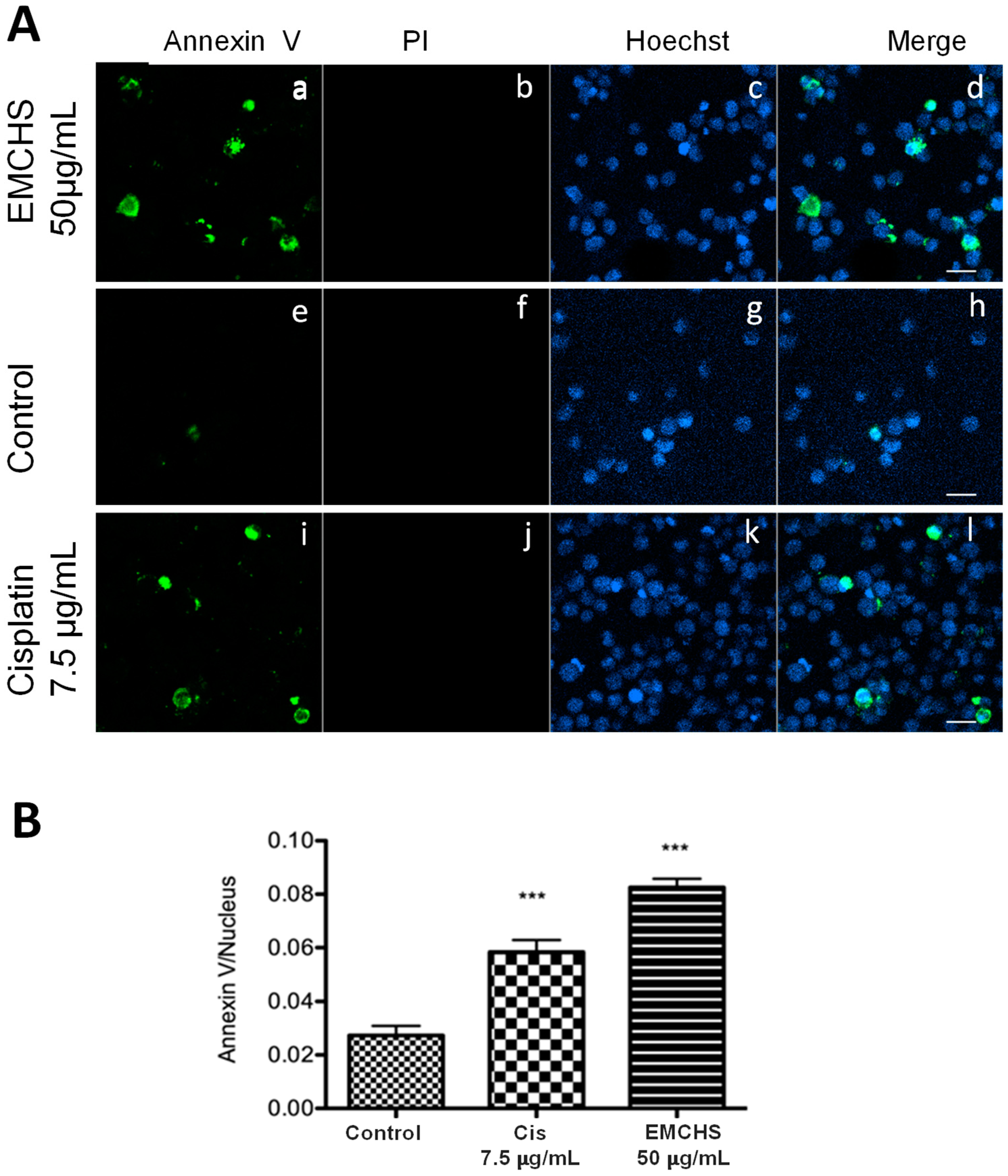 Molecules 28 06906 g001