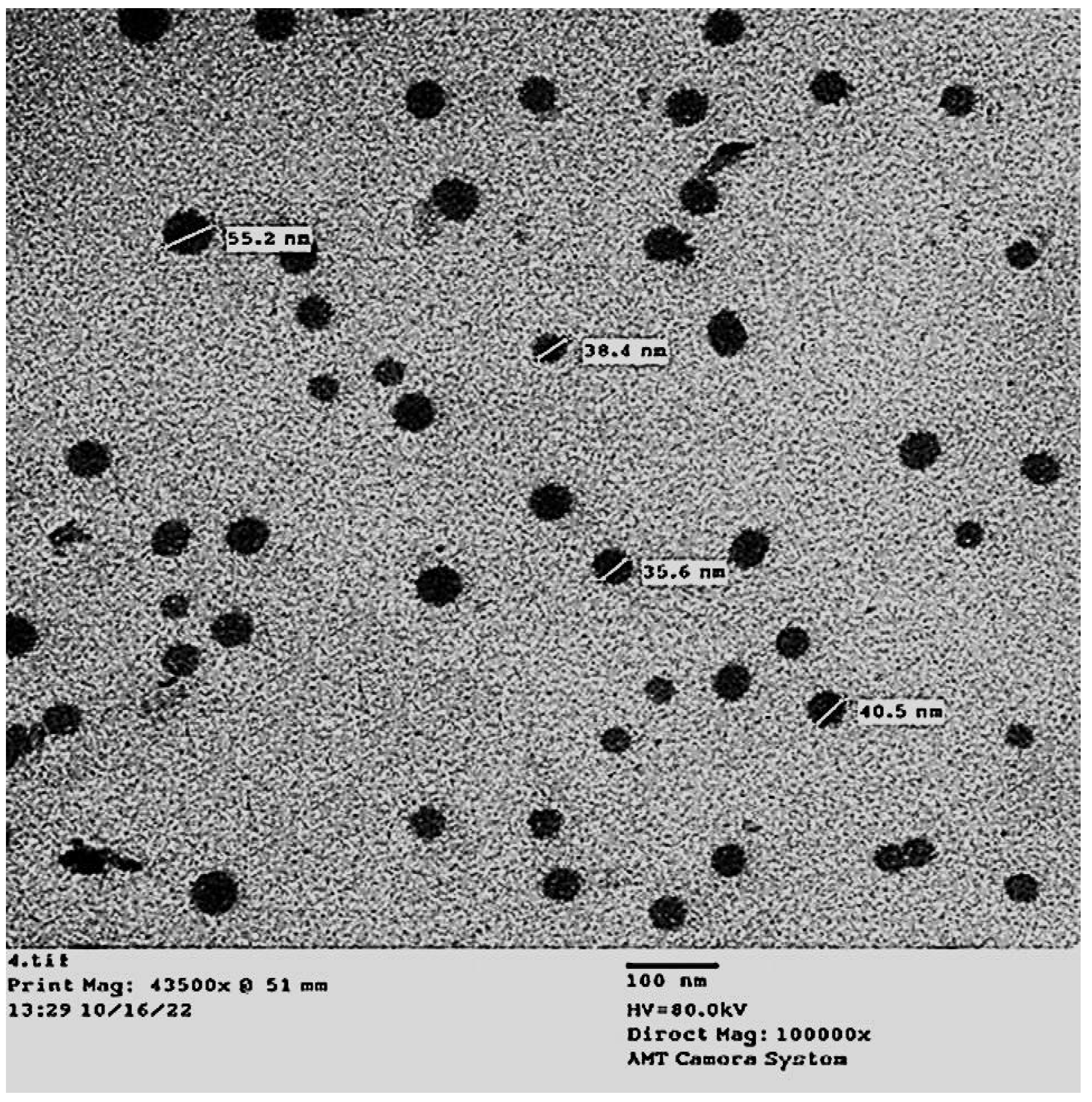 Molecules 28 06910 g002 Molecules 28 06910 g002