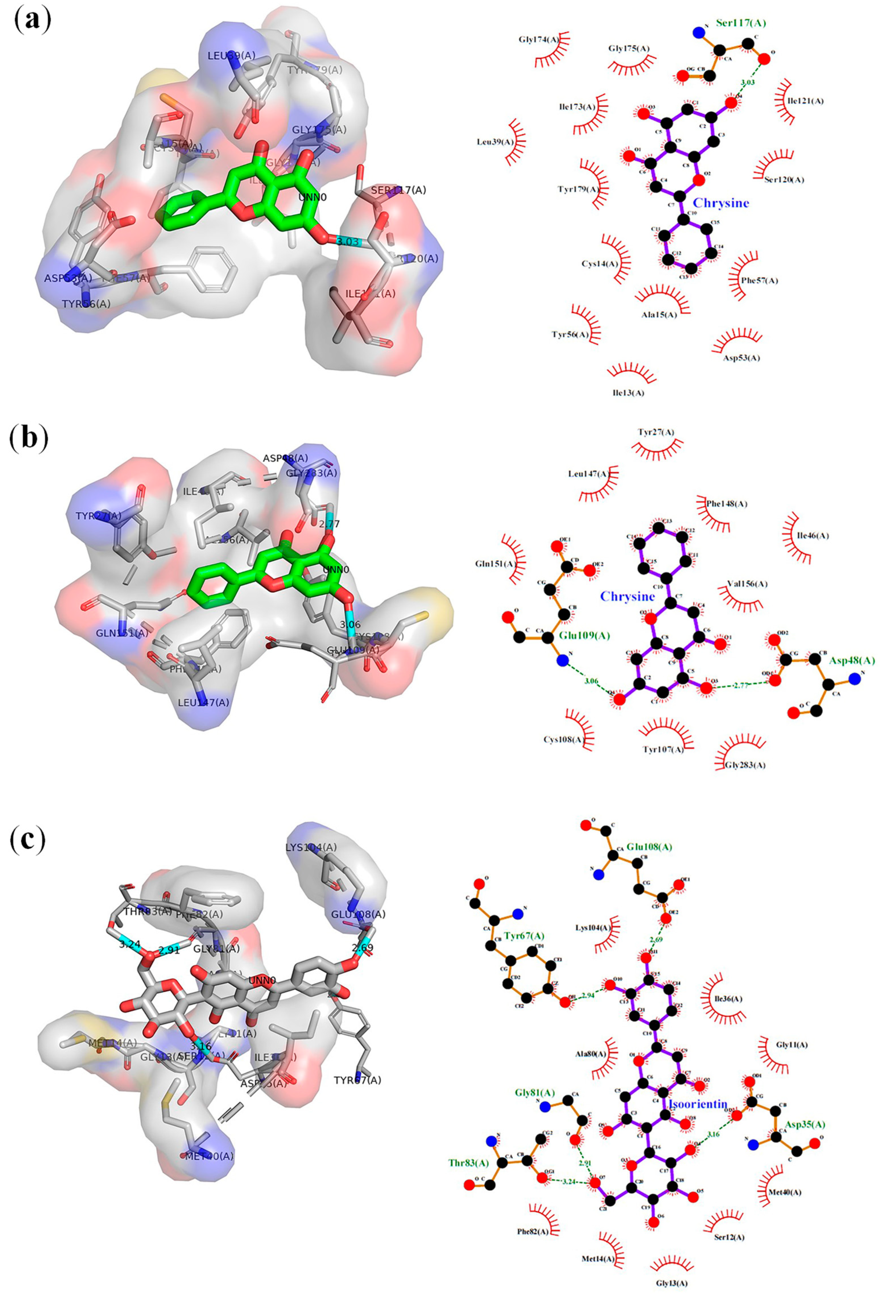 Molecules 28 06912 g002
